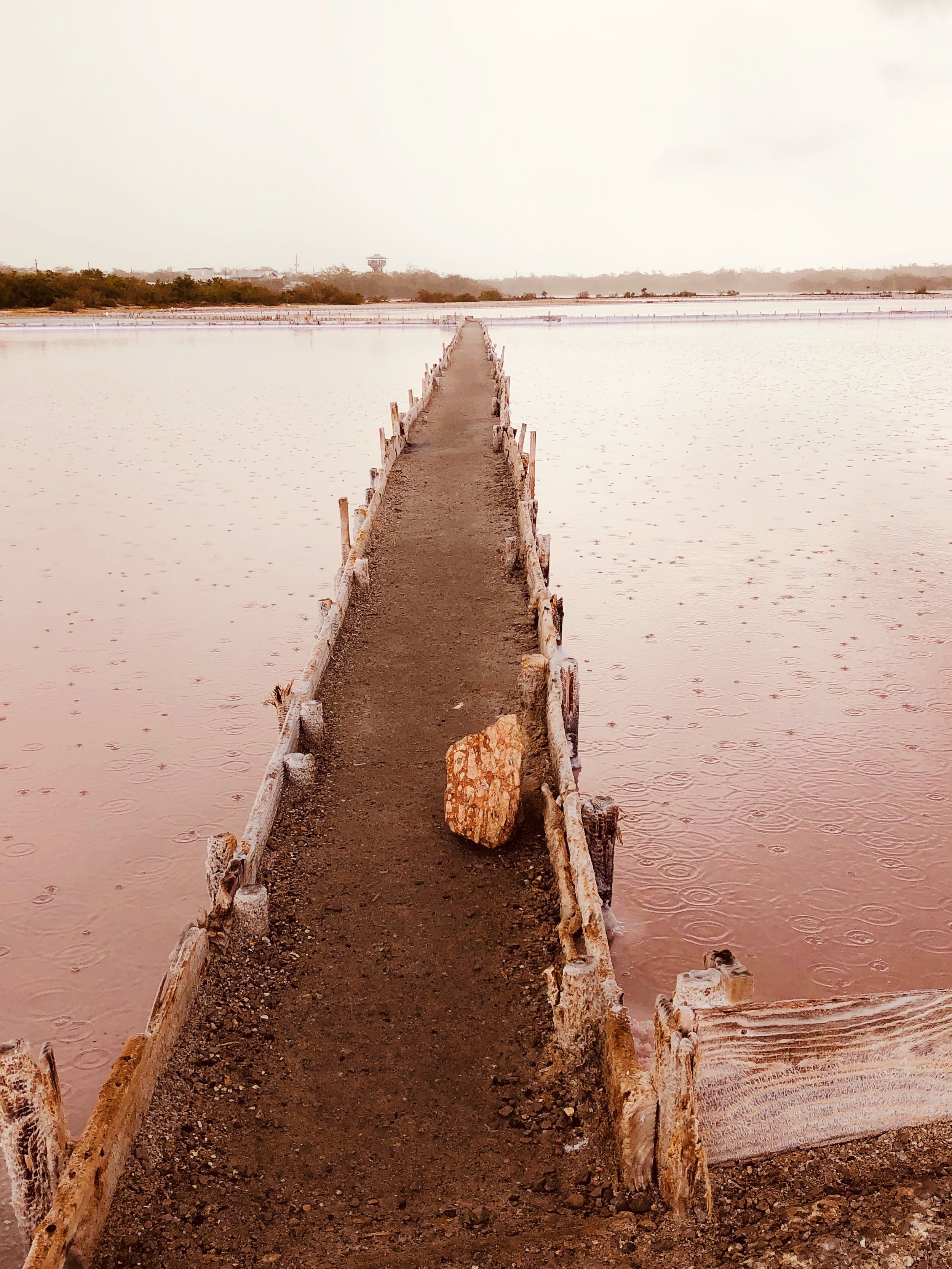 Las Salinas Salt Flats