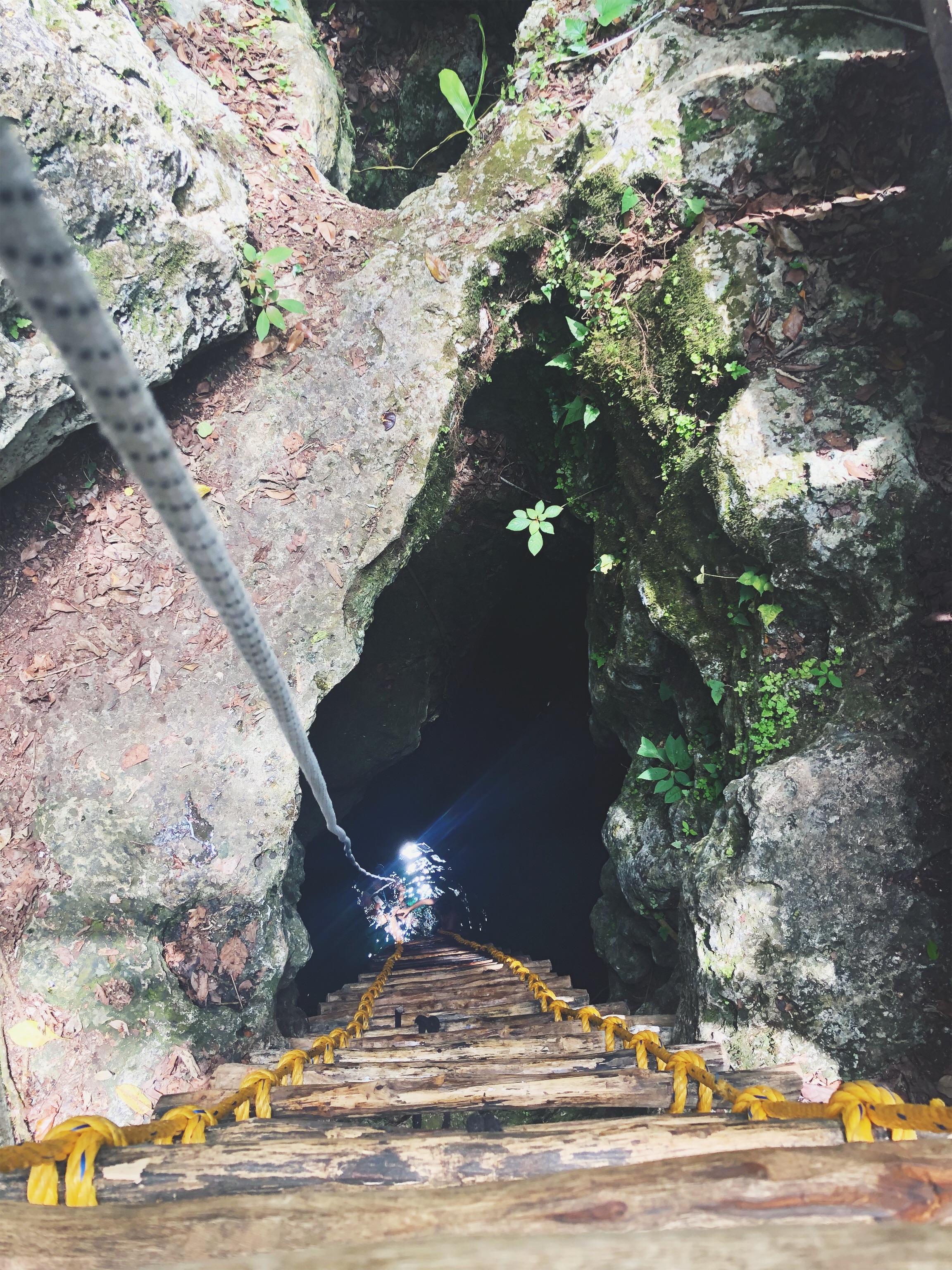 Cenote in Punta Laguna