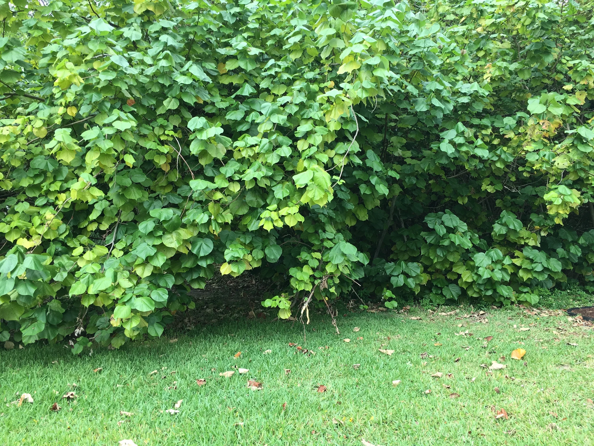 One of the photo spots.