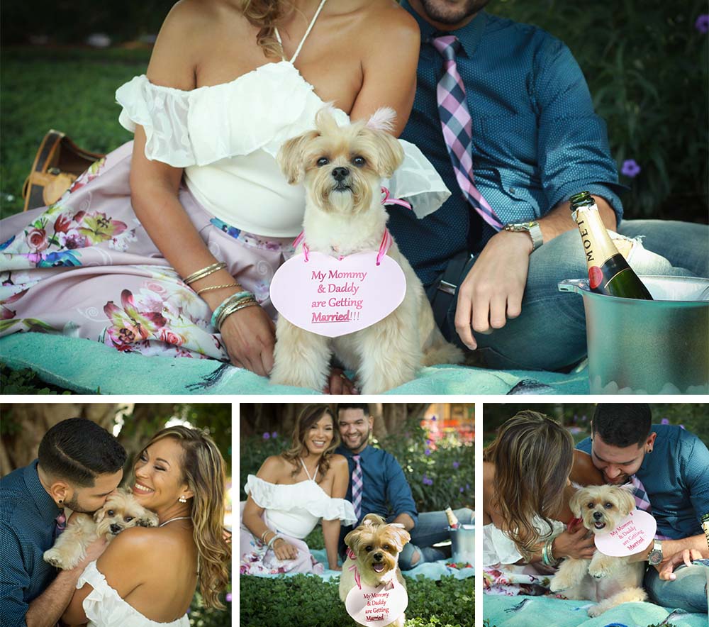 engagement-photos-LA-los-angeles-southern-california-socal-destination-picnic-engaged-hispanic-couple-happy-dog-lovers-champagne-fruit-photographer-wedding.jpg