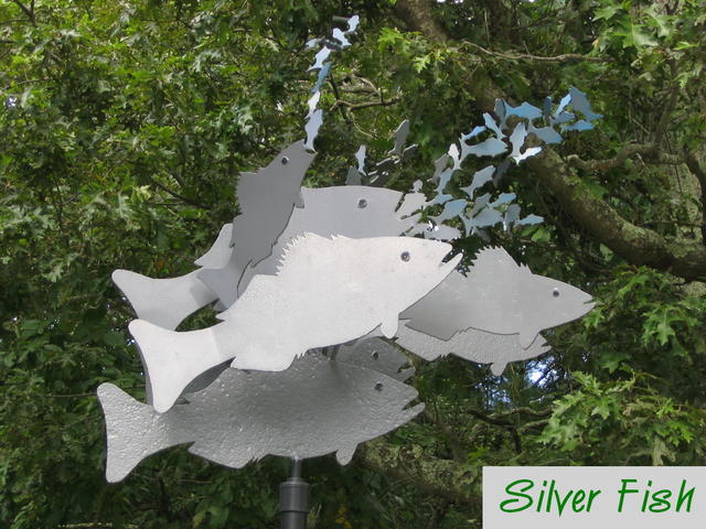 Silver fish