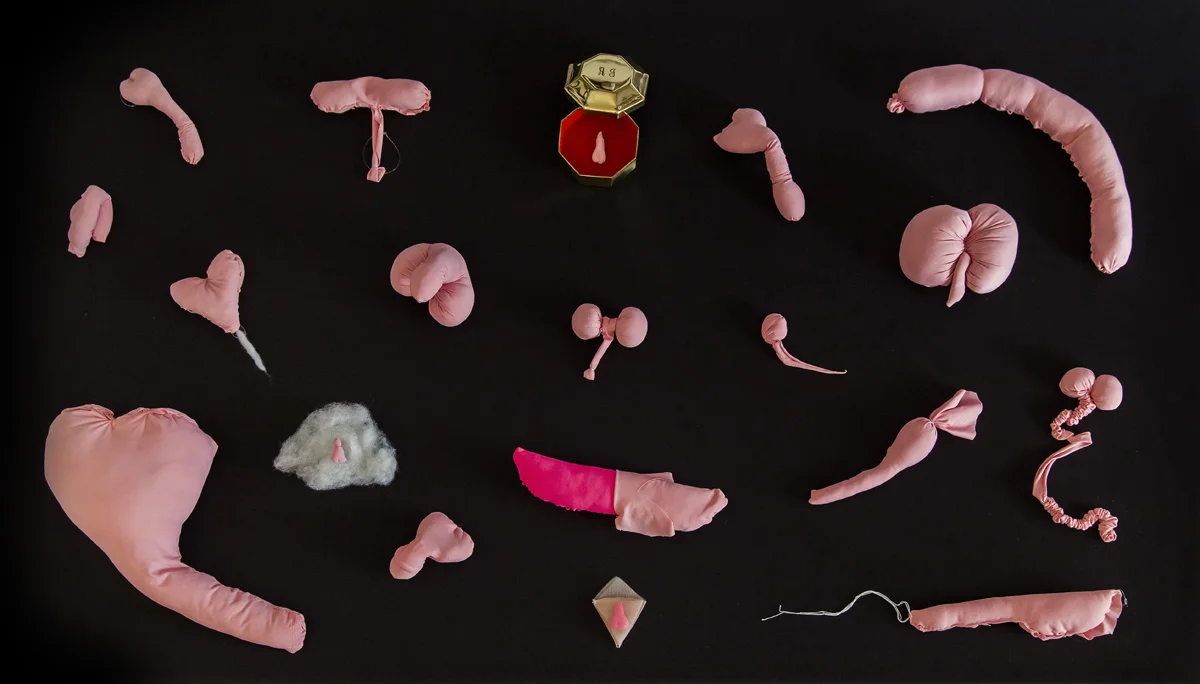 Pixy Liao, A Collection of Penises , 2013 – present, Stretchy fabric, pillow fillings, threads, vintage box, variable dimensions. Courtesy the artist and Leo Xu Projects. Photography by JJYPHOTO Leo Xu Projects presents Girls: Portraits, Fantasies and Troubles , a group exhibition curated for gallery’s second-year participation in ASIA NOW. The booth includes a selection of photographs, installations, sculptures and videos created by Cheng Ran, Guo Hongwei, Pixy Liao, Liu Chuang, Liu Shiyuan, and others, which carefully study individual and collective emotions, experiences and expressions of young female Chinese in their everyday and professional life.