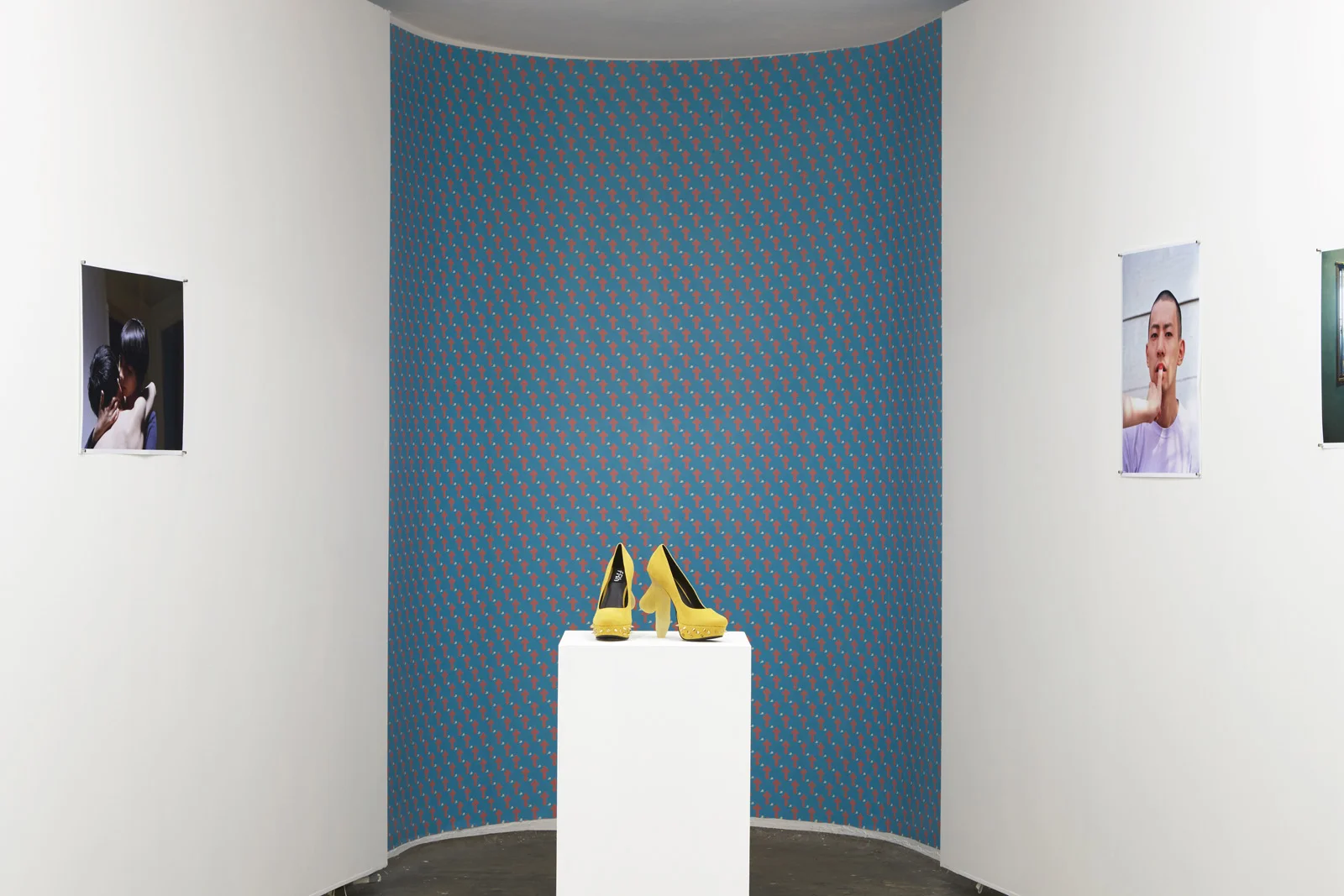 Solo Show “Some Words Are Just Between Us” curated by Sophia Cai, First Draft Gallery, Sydney, Australia, 2016