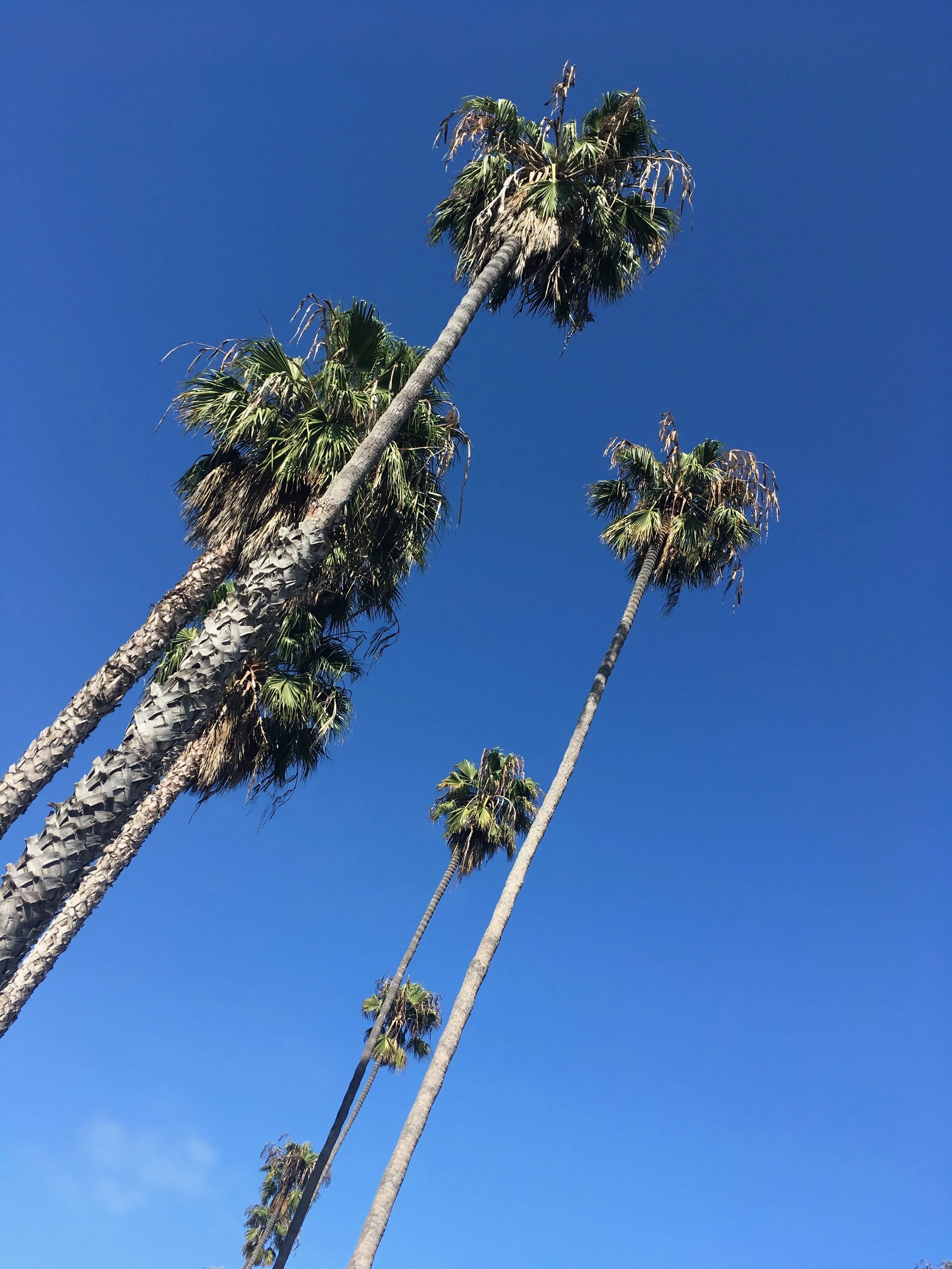Margaret_Alba_Los_Angeles-3.jpg