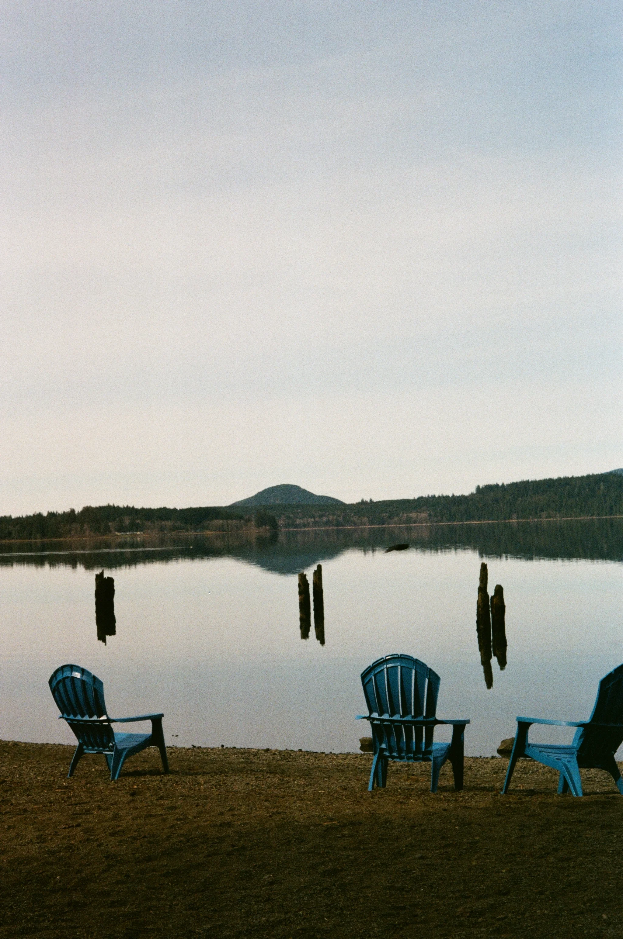 Margaret_Alba_Quinault_13.jpg