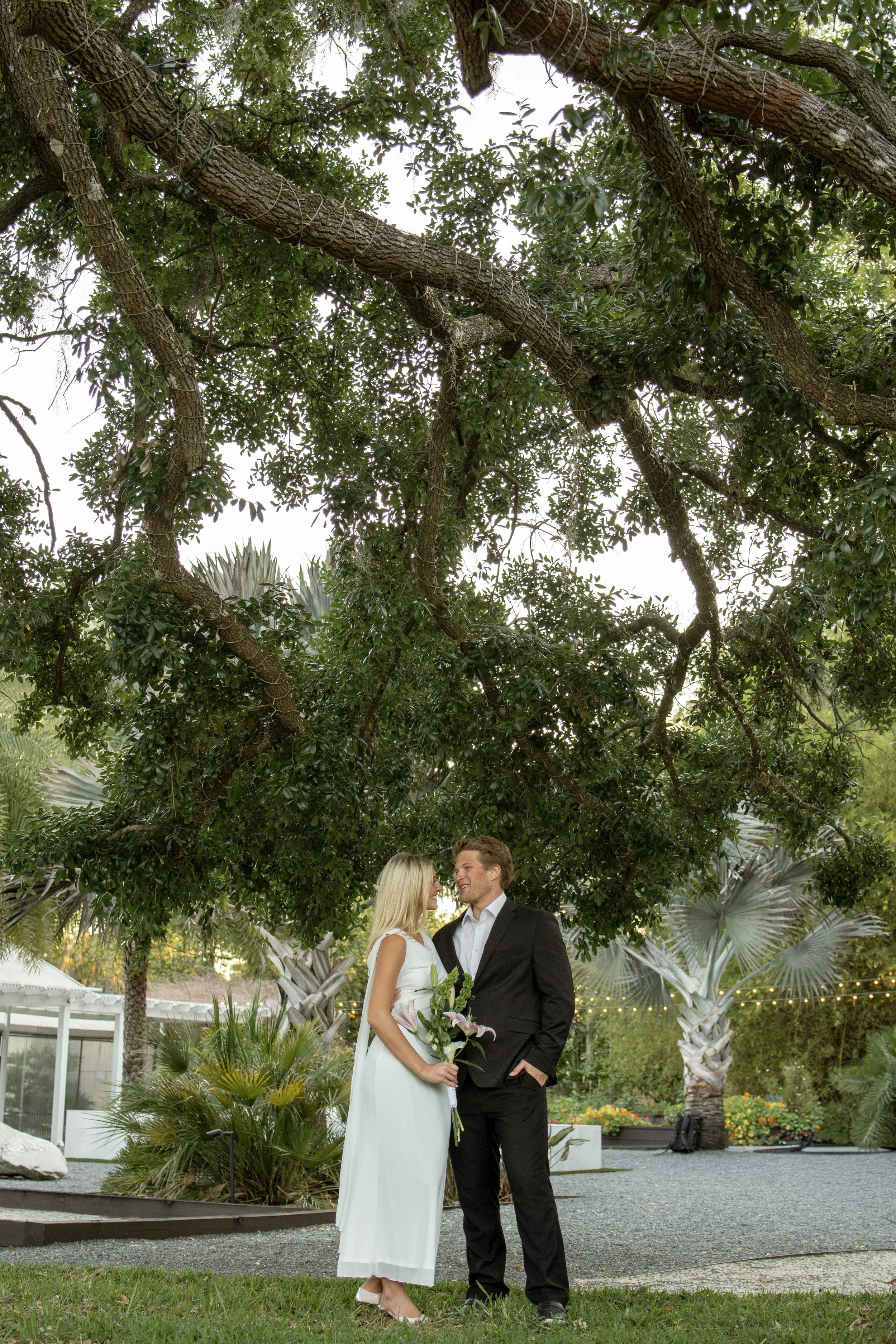 Tree couple (V).jpg