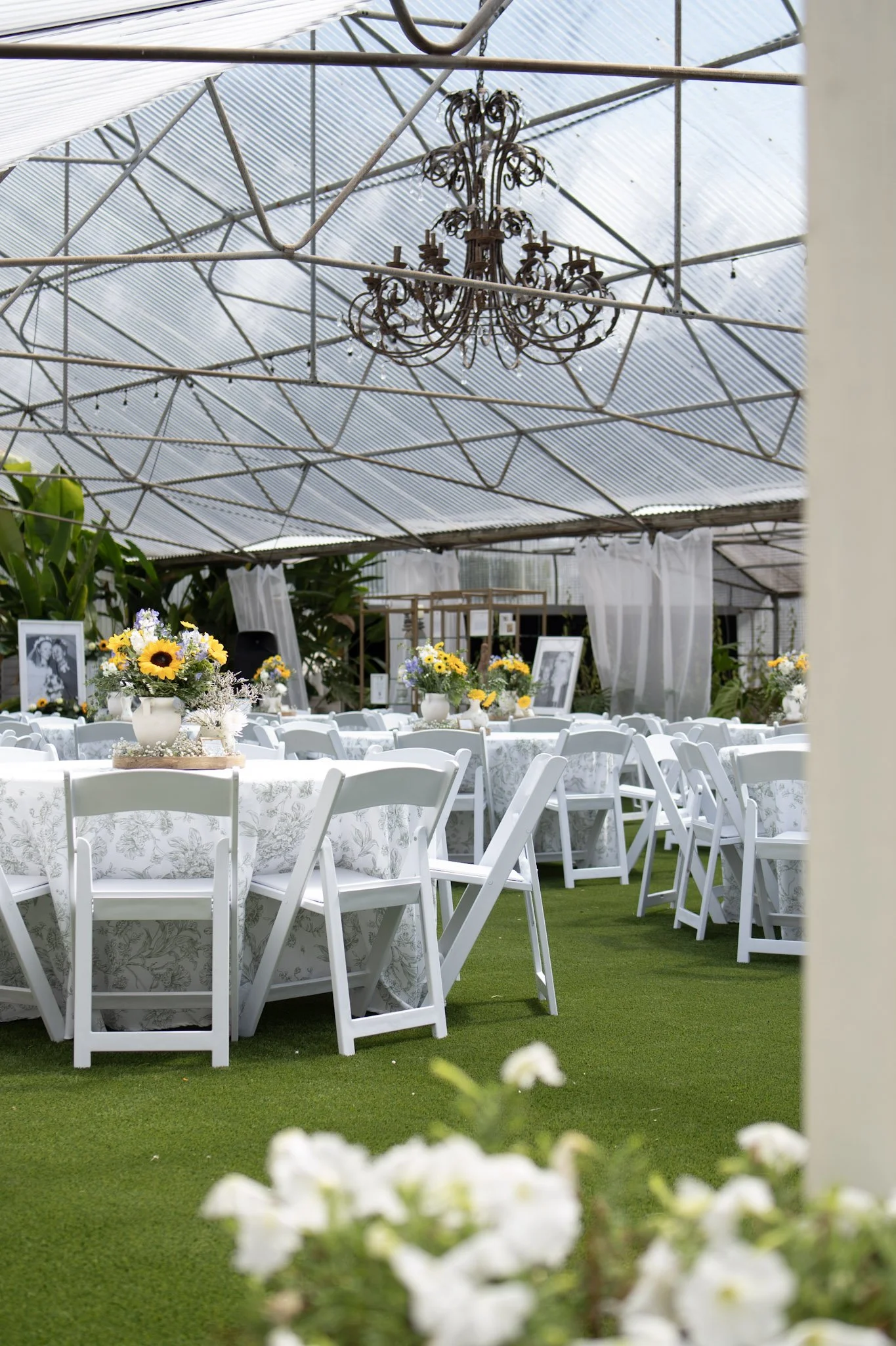 COL GH.JPG