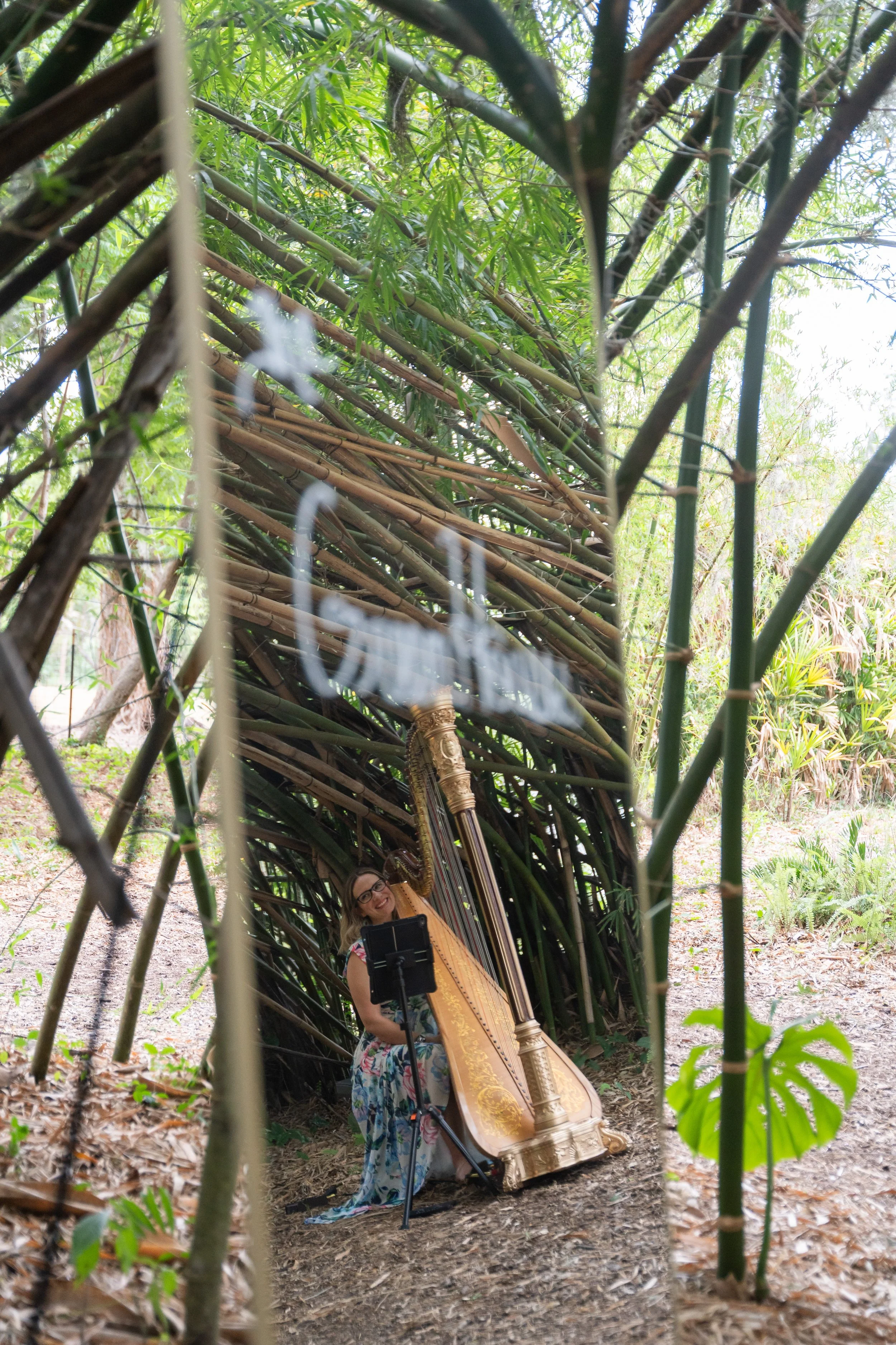 Gold Arch Mirror harp.JPG