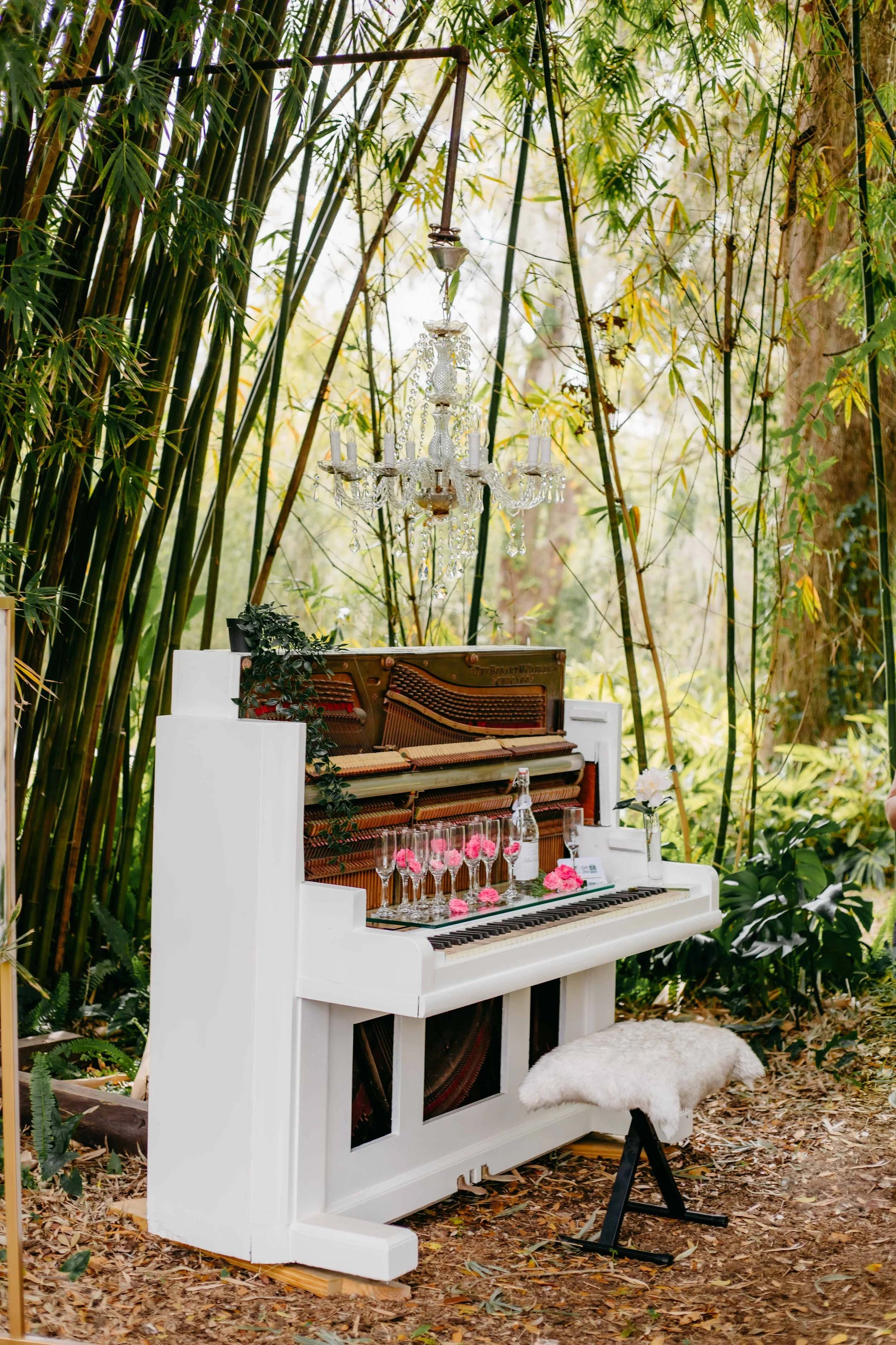Piano in Bamboo (V).JPG