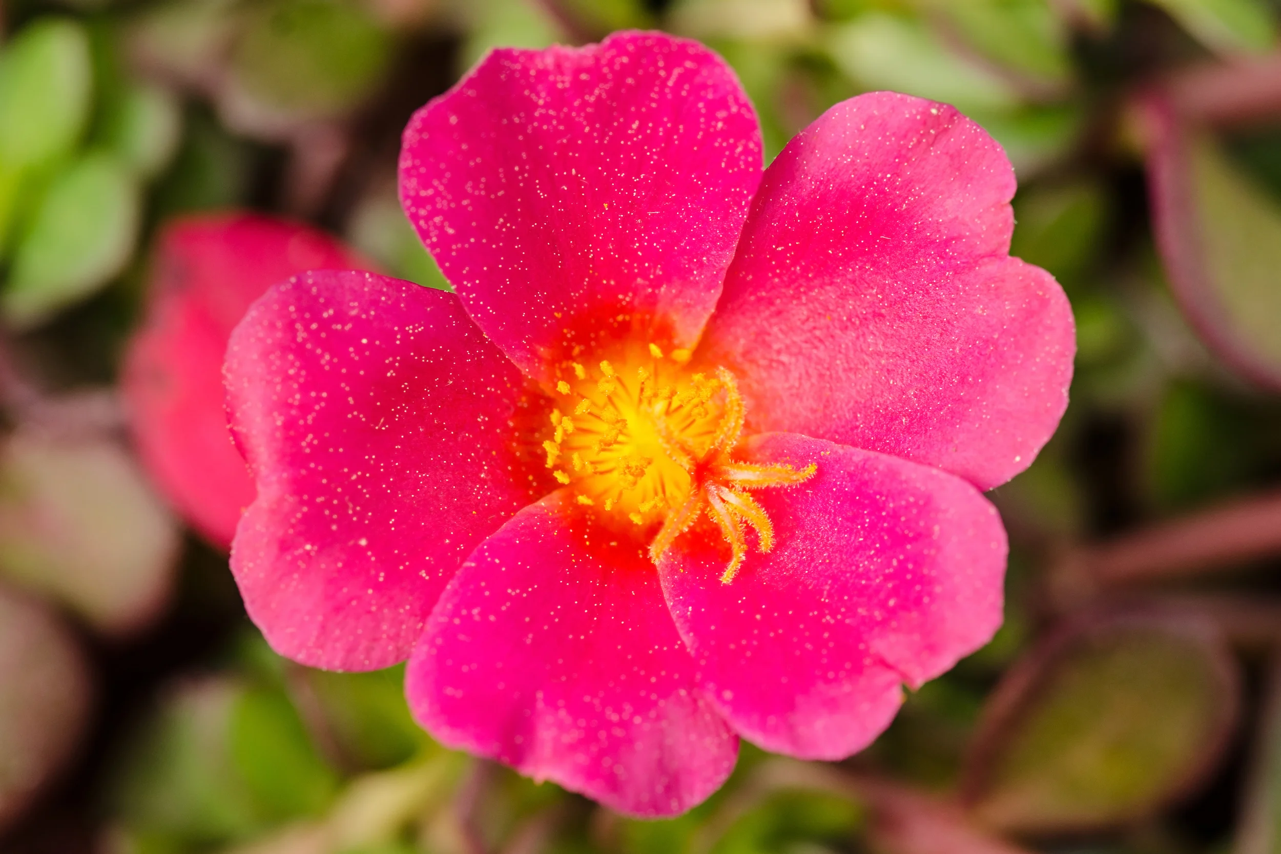 Village Gardens-22.jpg