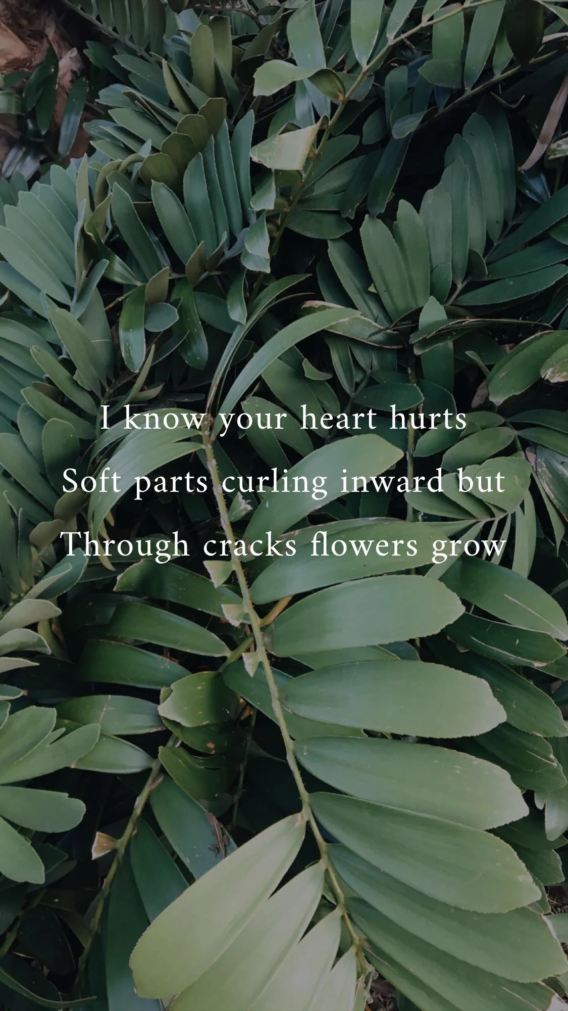 Heartbreak