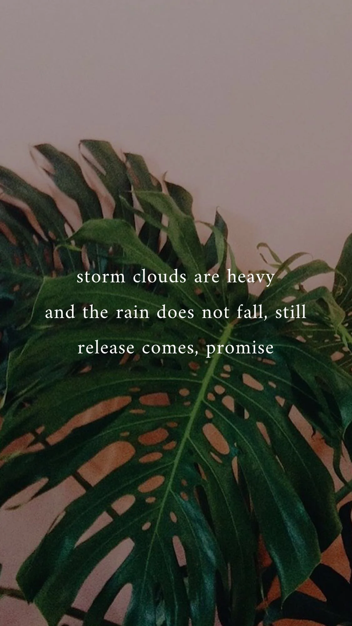 Patience