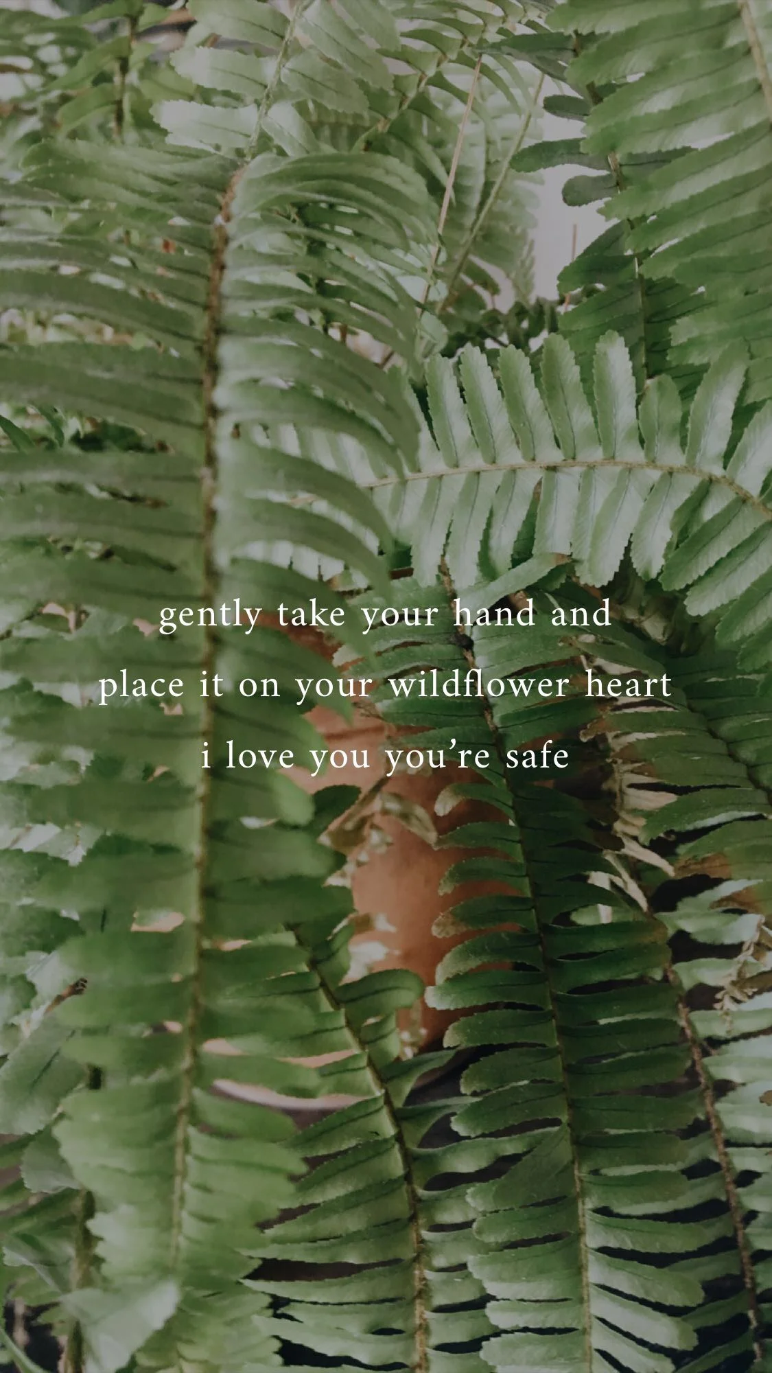 Wildflowers