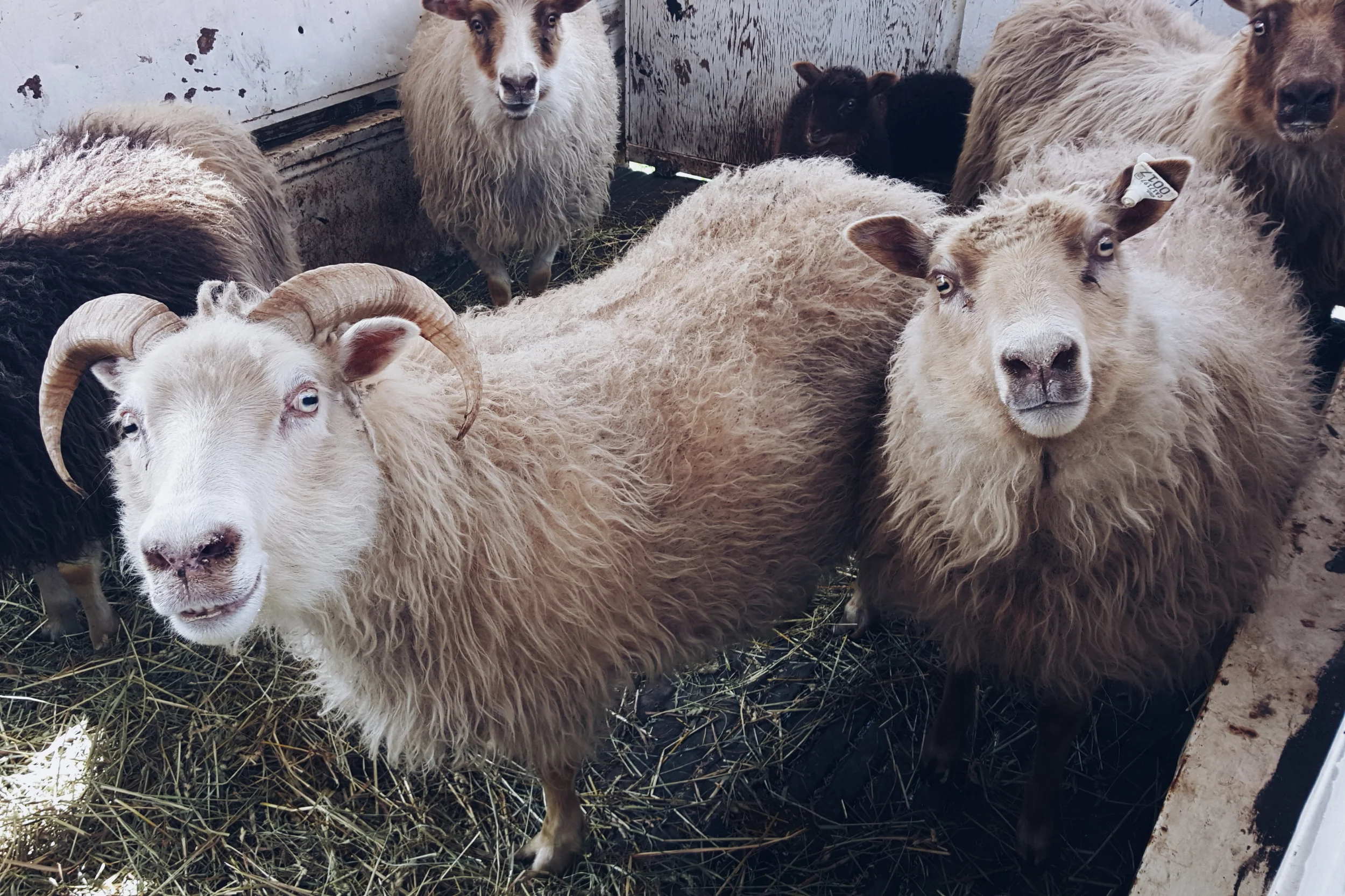 They are all judging me.
