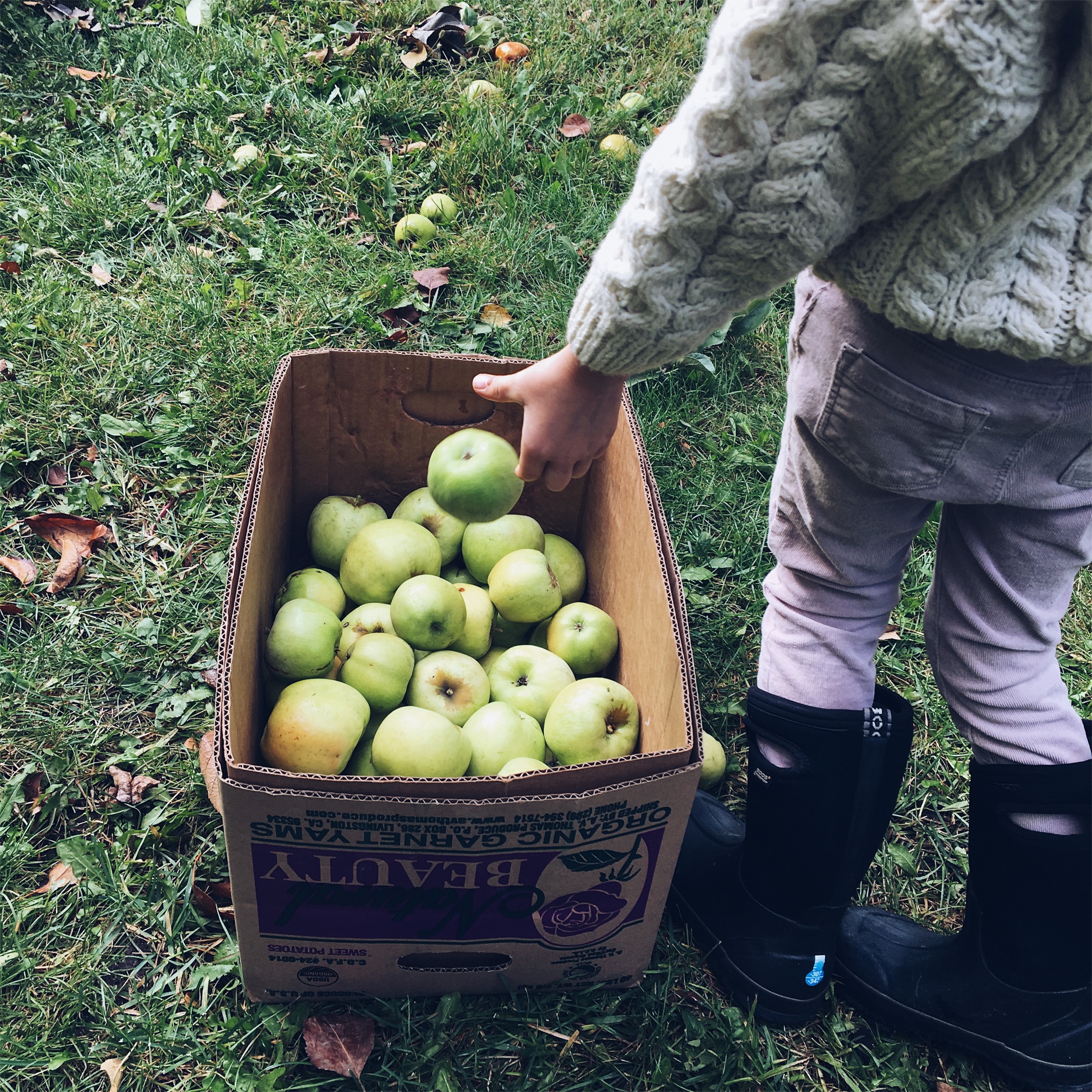 JPEG image-499A65911ABF-3.jpeg