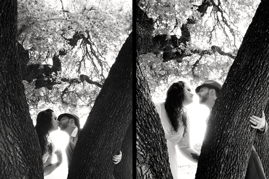 10_kissinginatree.jpg