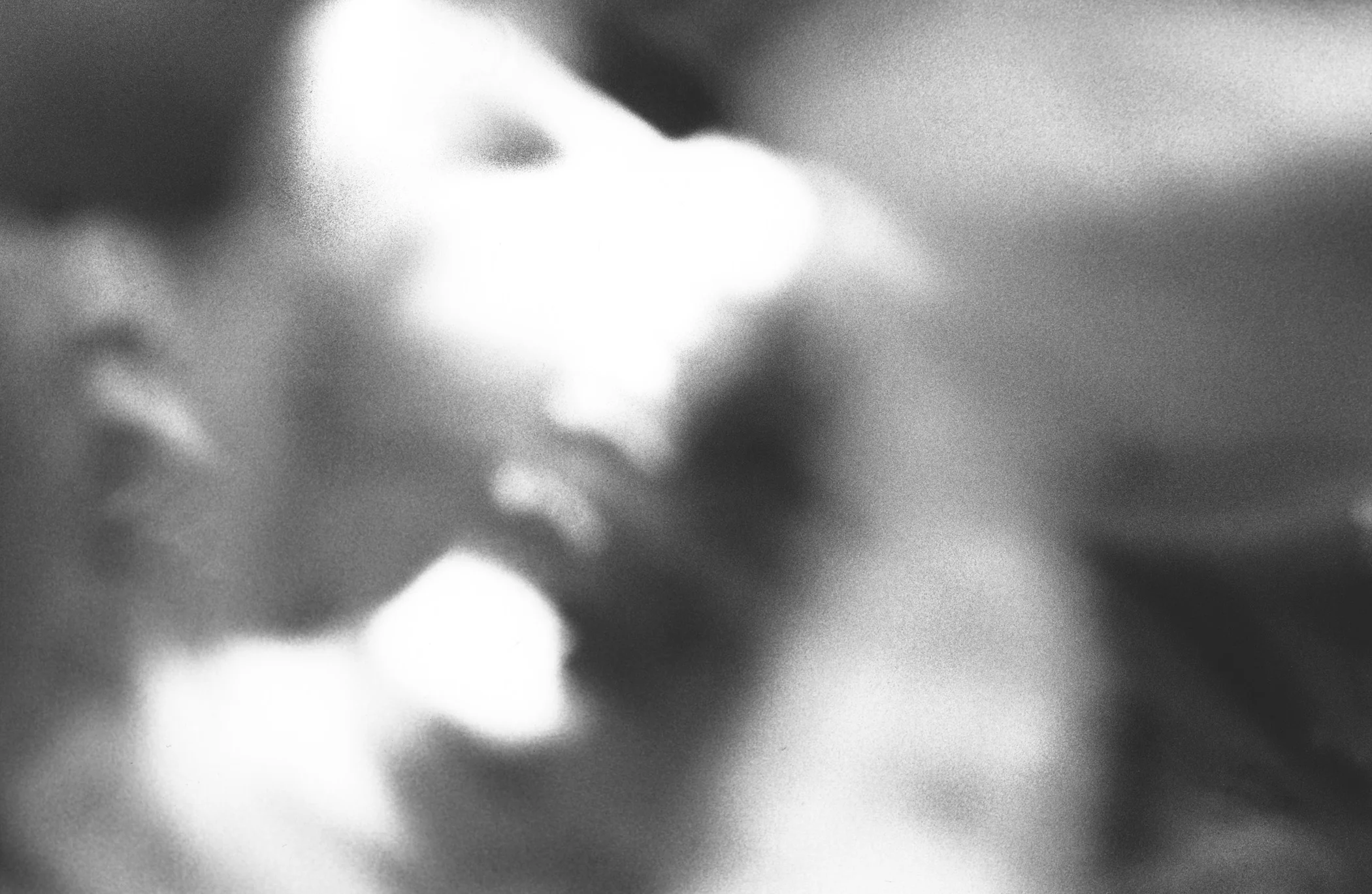 Face s.s.jpg