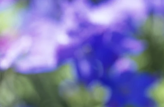 Purple sm web.jpg