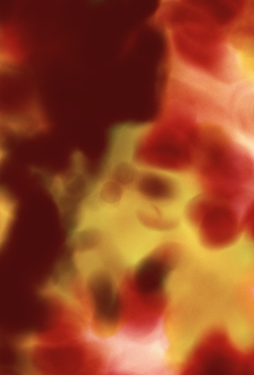 Red and Orange sm web.jpg