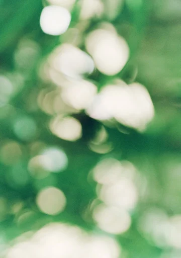 White Bubbles sm web.jpg