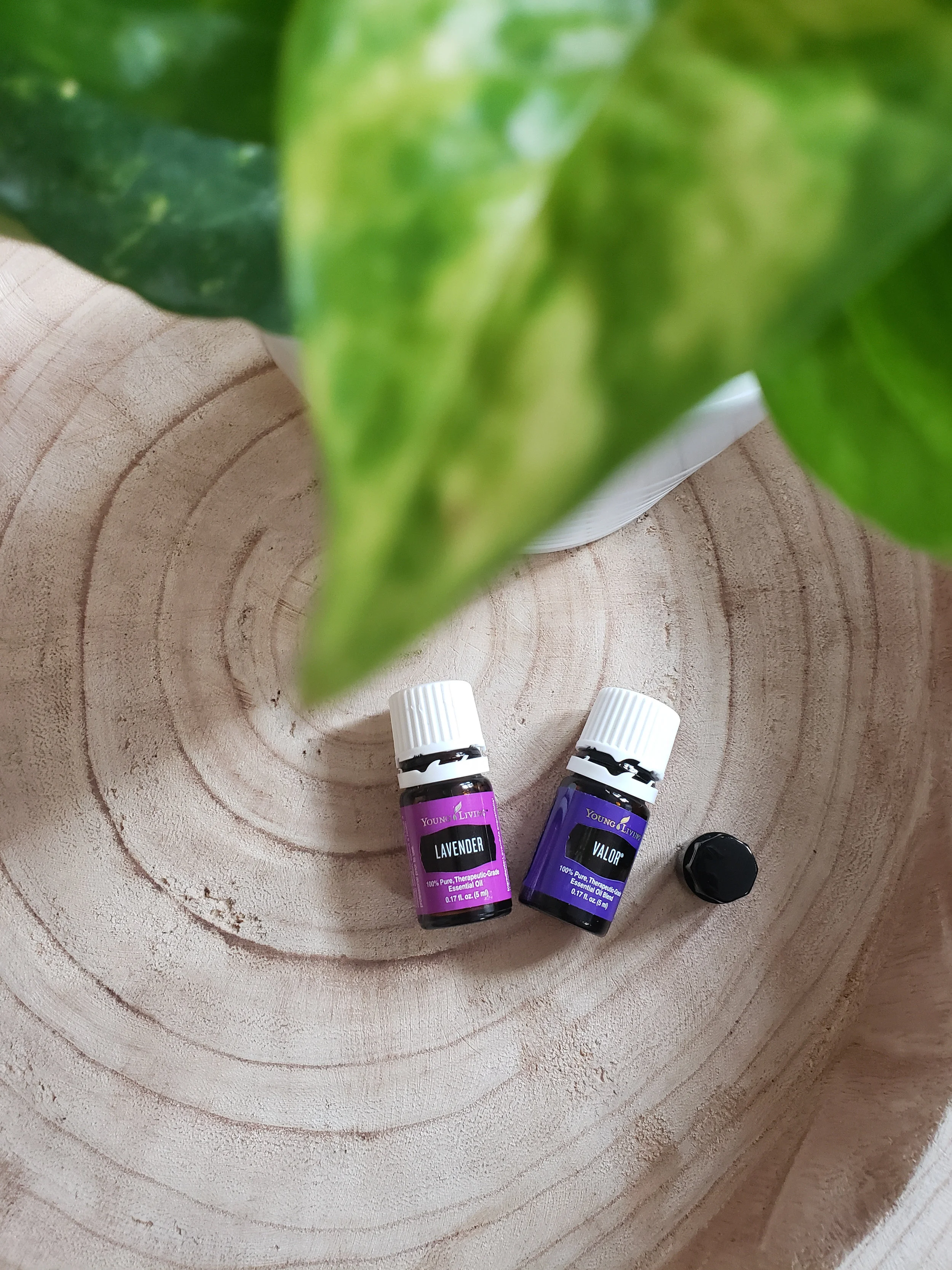 Essential Oils for Pregnancy 