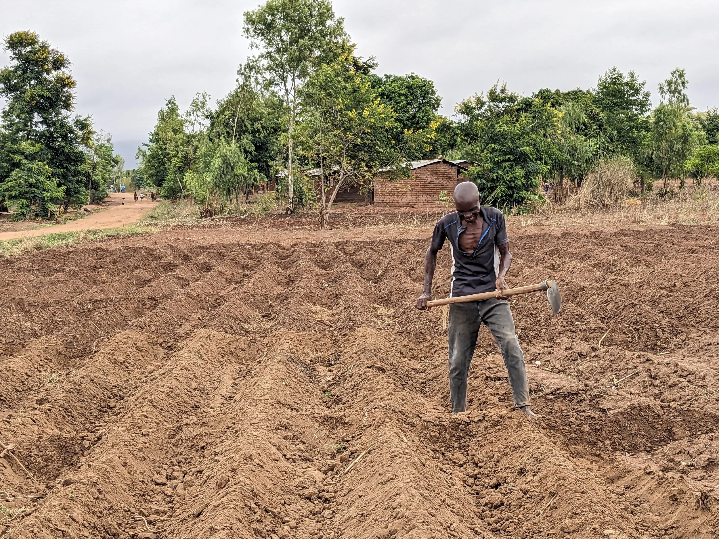 Unfortunately, fertilizers don't work on poor soil