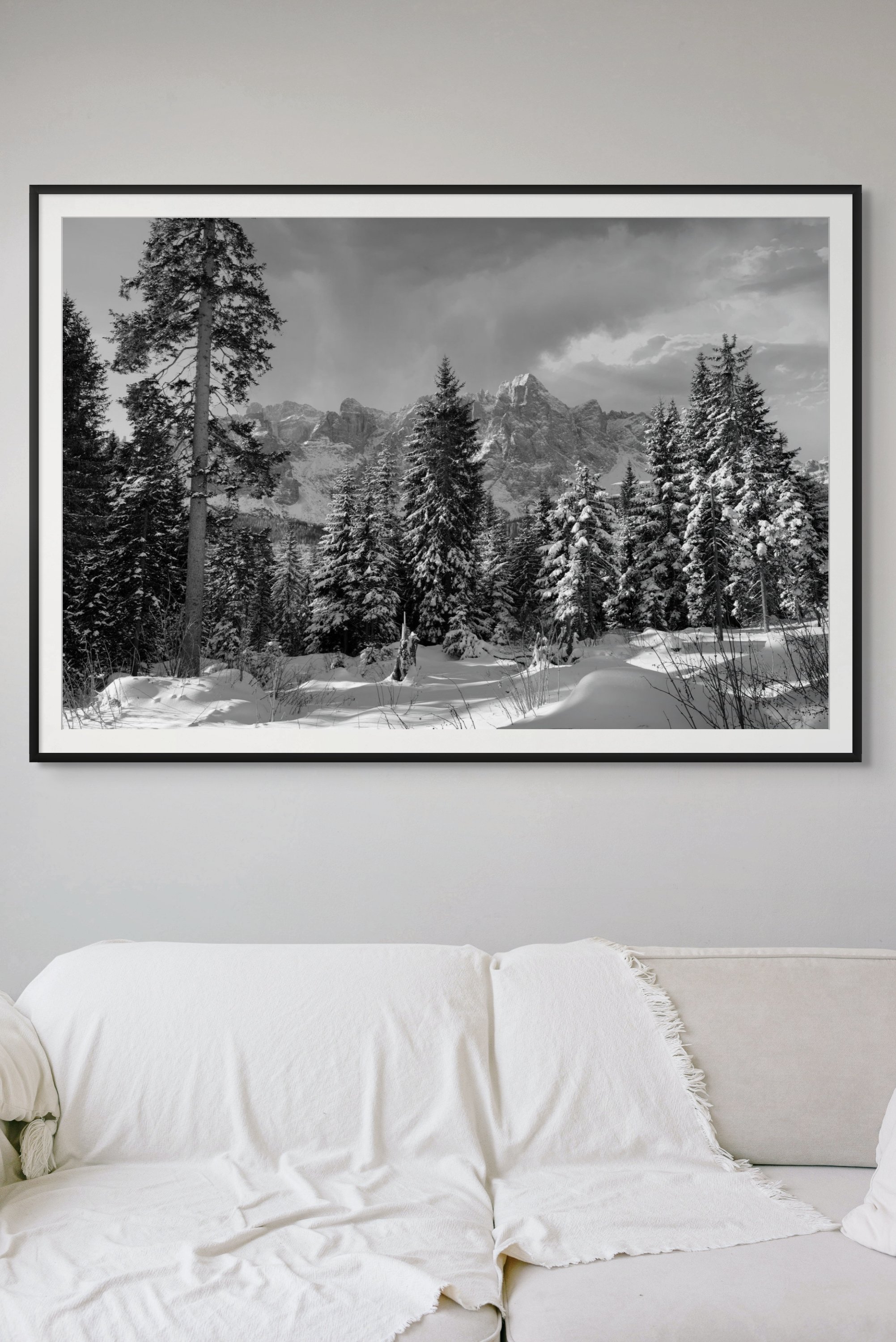 dolomite dreams-full(1).jpg