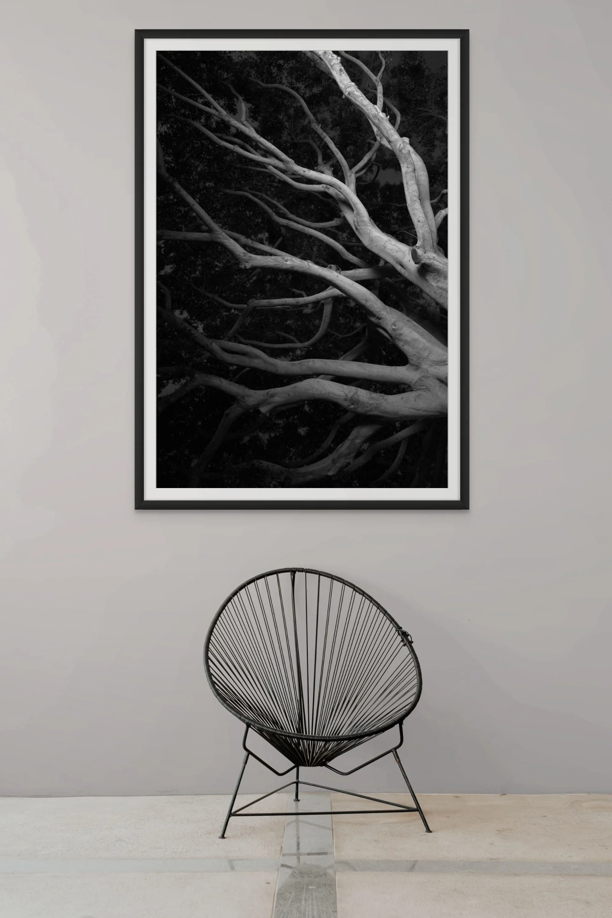 scary tree-large.jpg