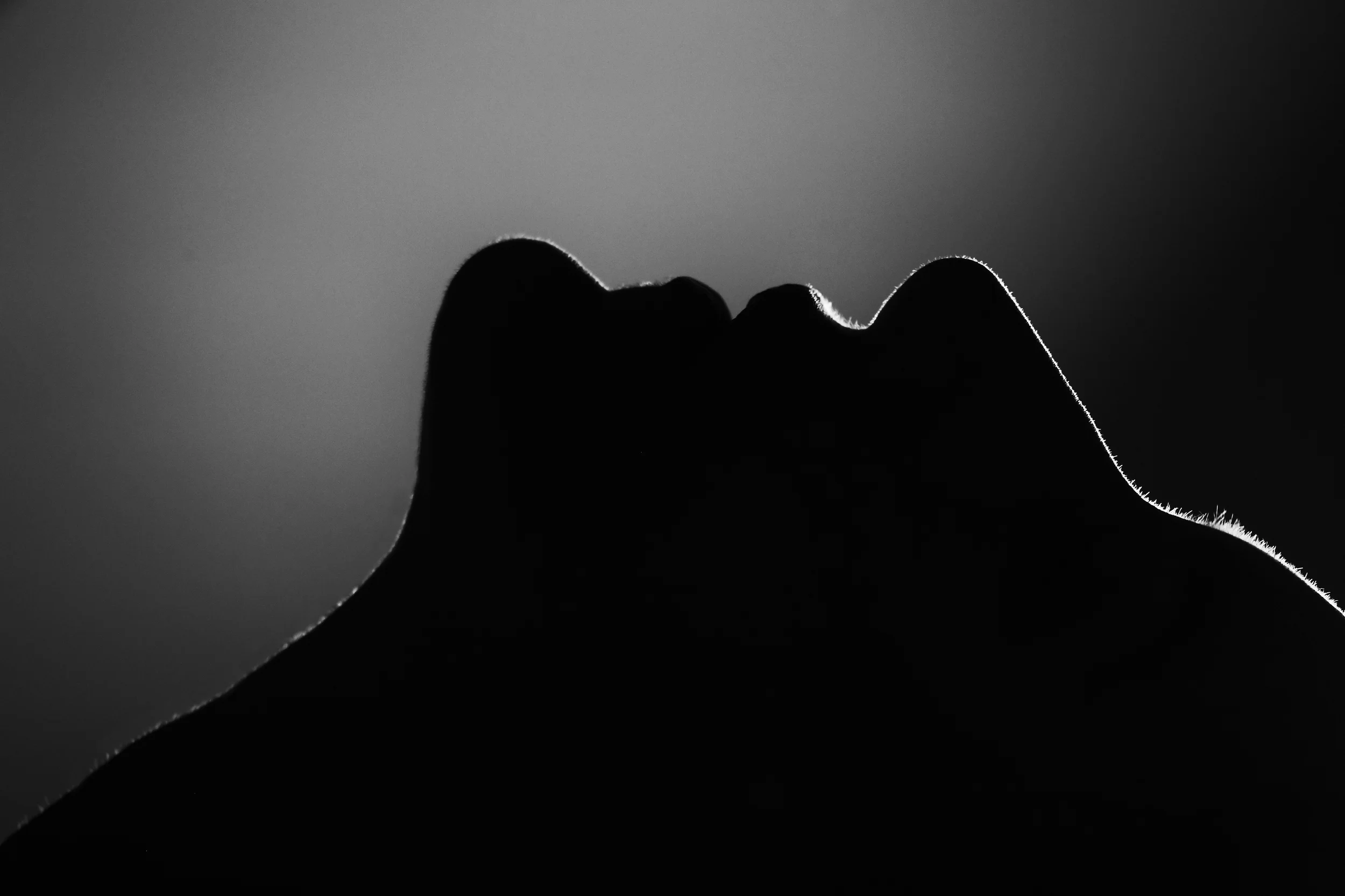 Portrait by Los Angeles photographer Kenneth Dolin. Portraits in Los Angeles. Los Angeles Headshots. Headshot photographer in Los Angeles. Los Angeles photographer. 