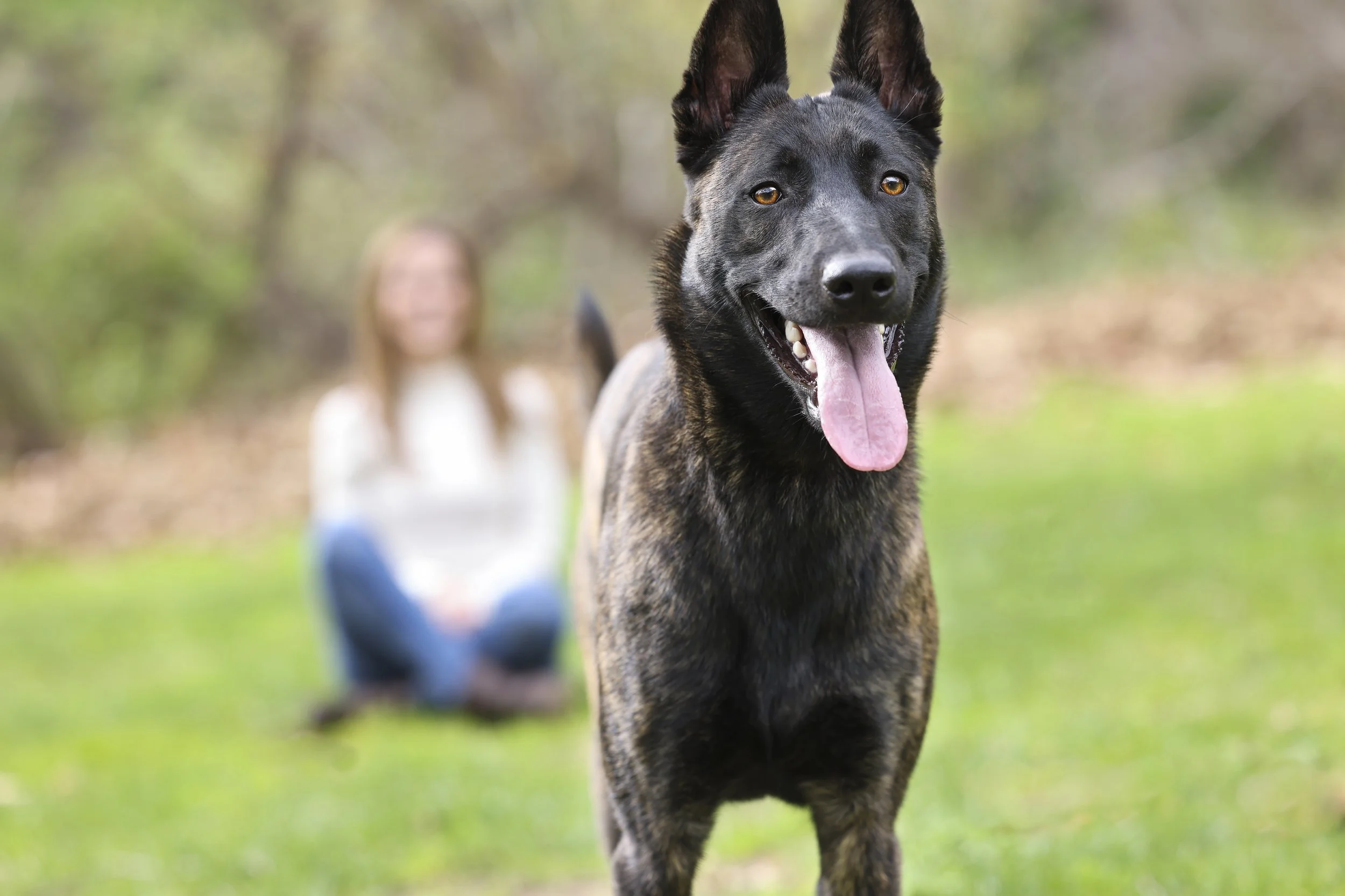 Veterinarian Heather Oxford's dog. (Copy) (Copy) (Copy) (Copy) (Copy) (Copy) (Copy)