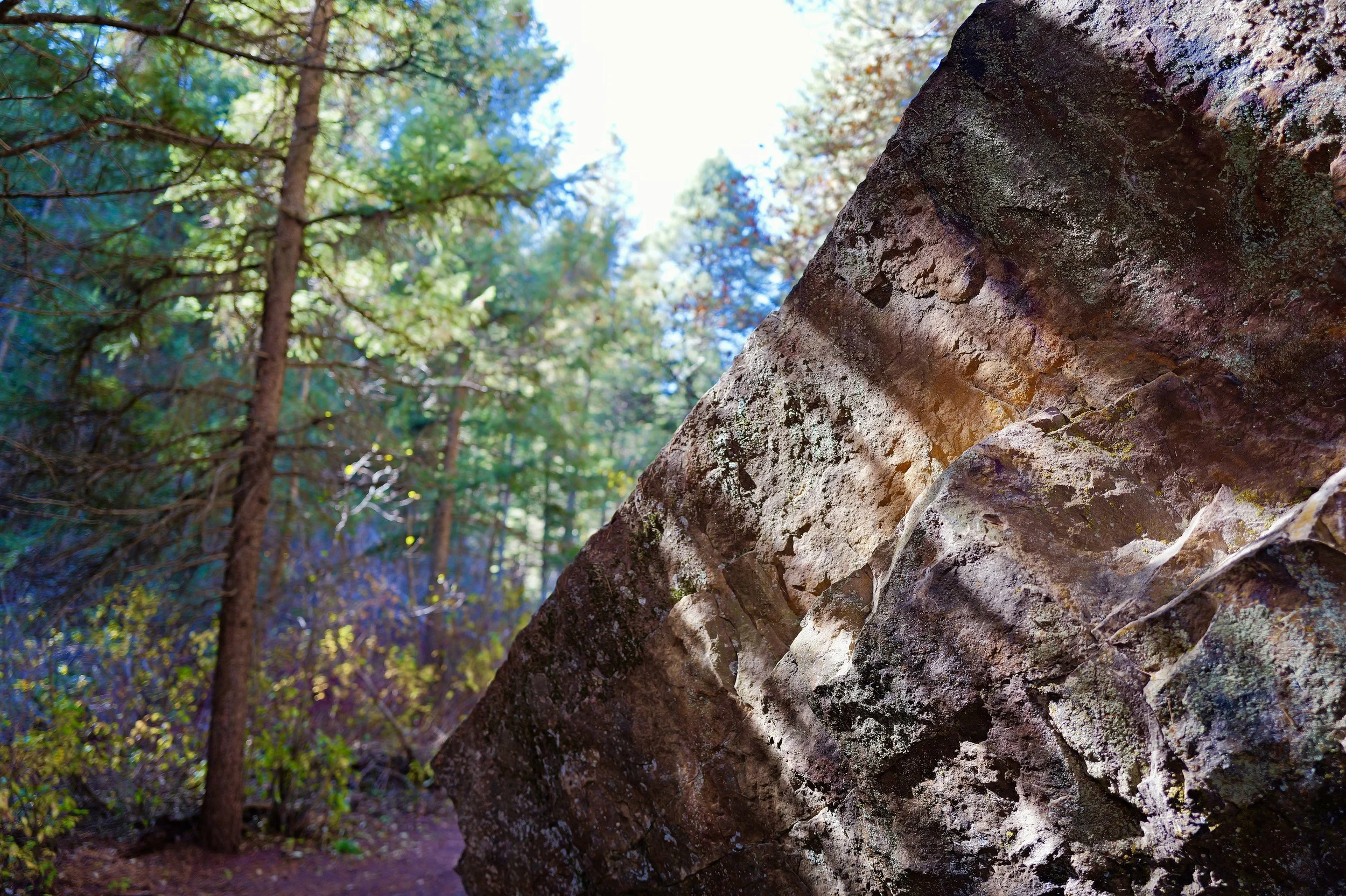 L1010722_LR.jpg