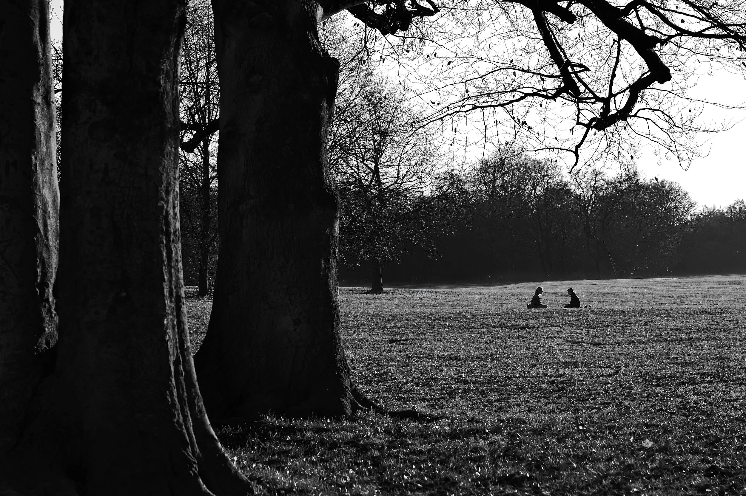 English Garden 1LR.jpg