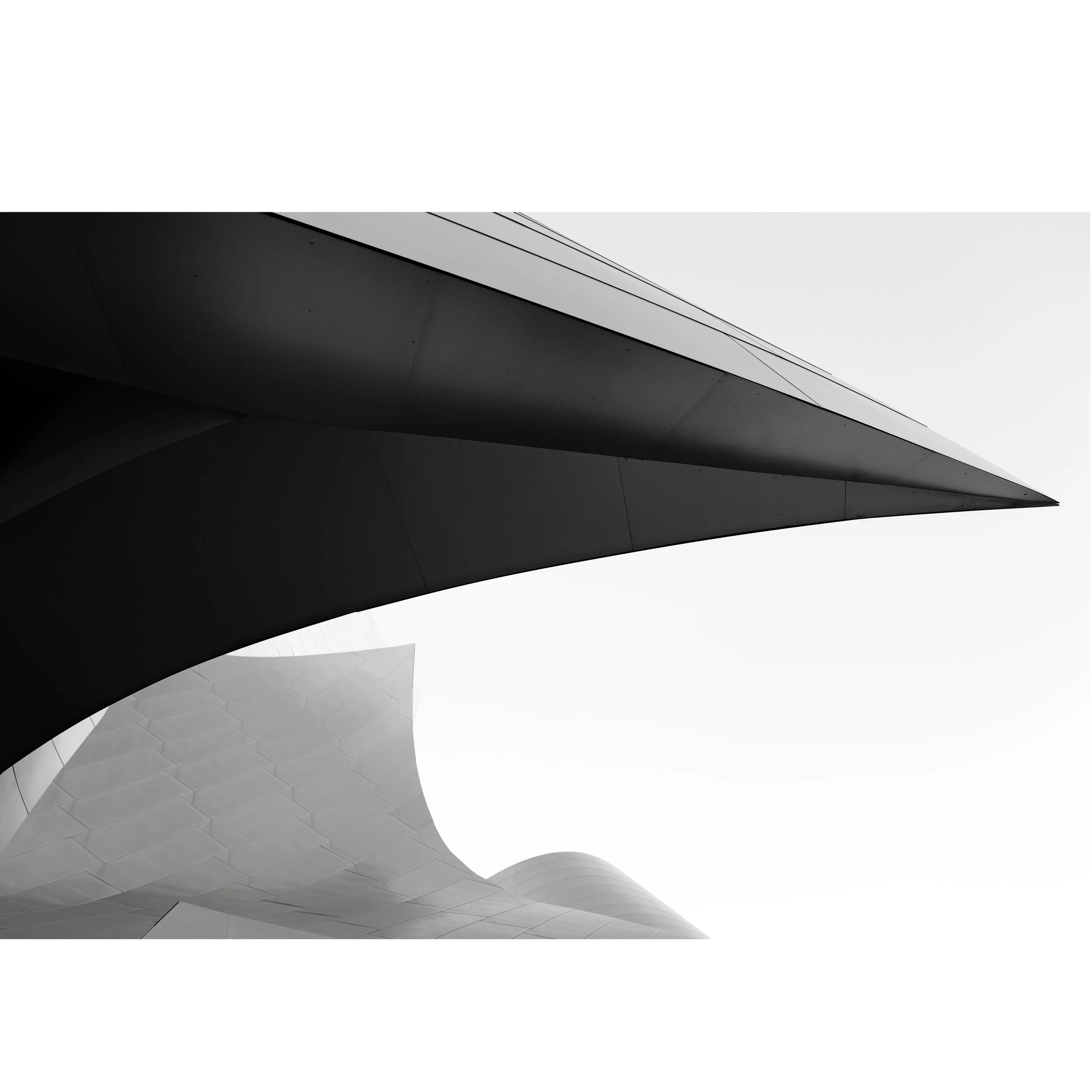 Disney Hall Abstraction.jpeg