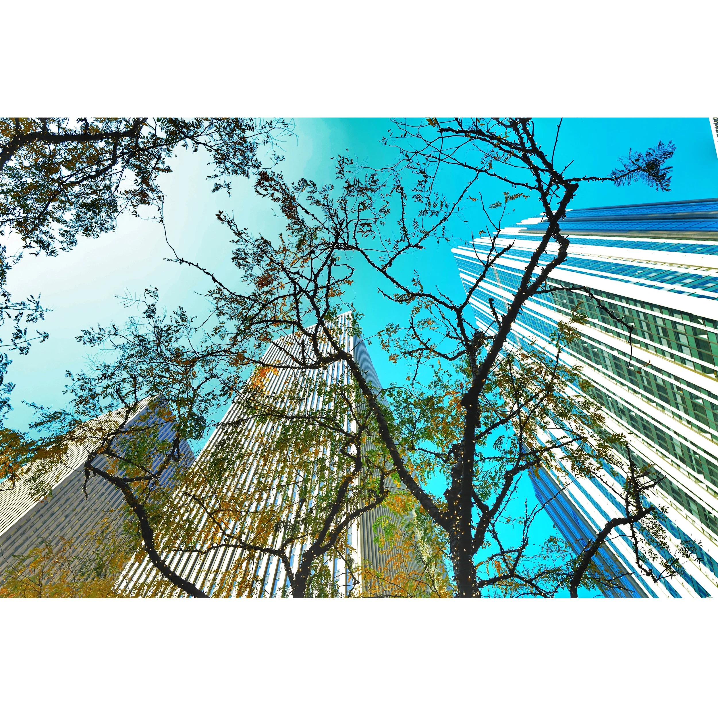 NYC Spring Scapers Square.jpg