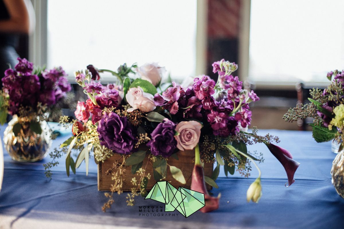 Photo Credit : Morgan Miller Photography Website : http://www.morganmiller.photography/