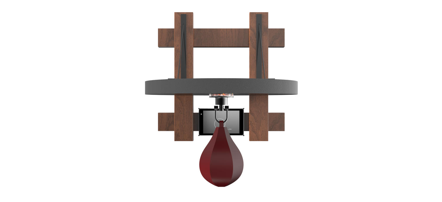 Speed Bag Champ — smart connected speed bag platform