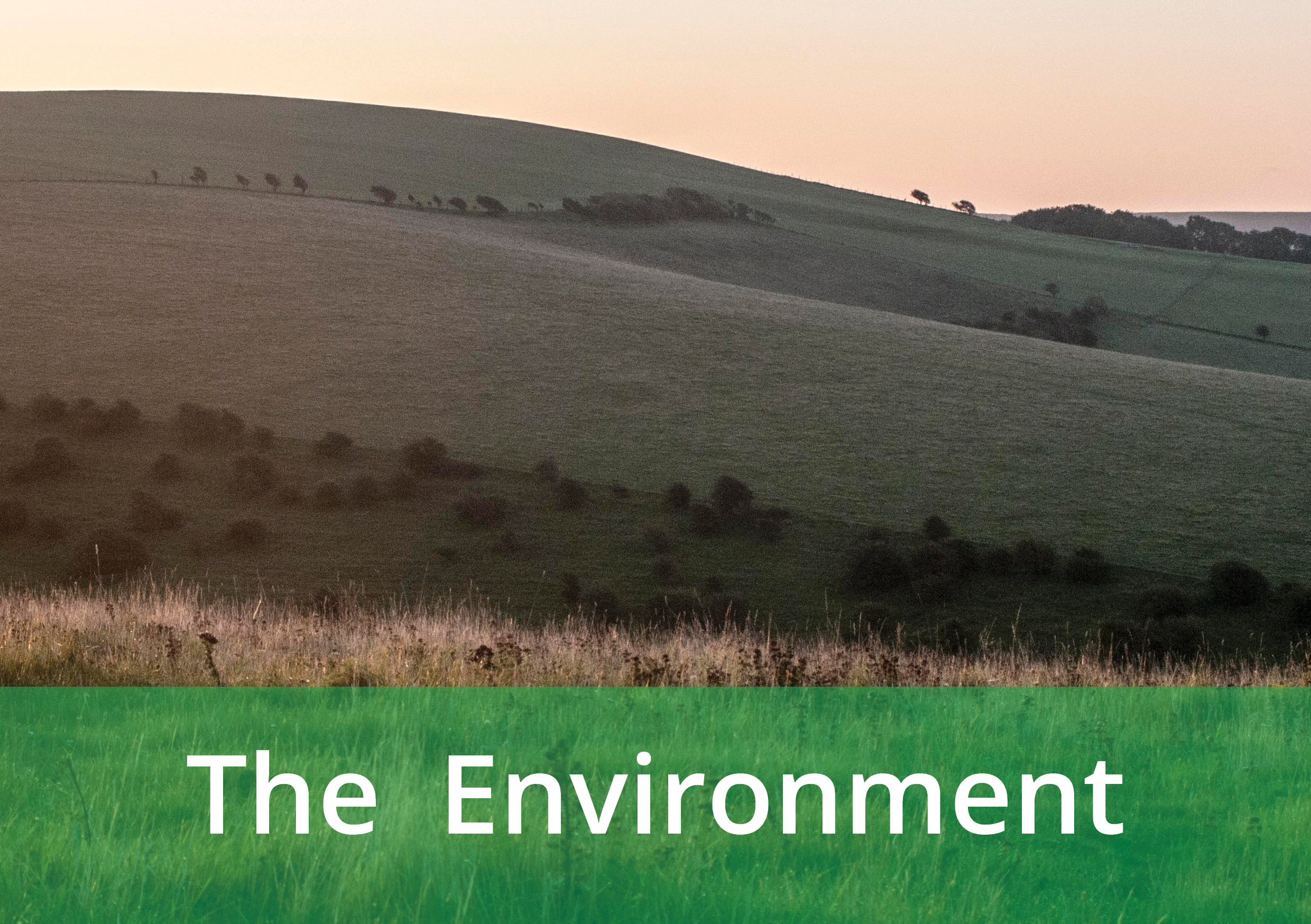 Image gateway of South Downs link to Environment page