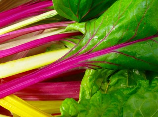 Nourish the Feminine Journey on a Women's Health Day