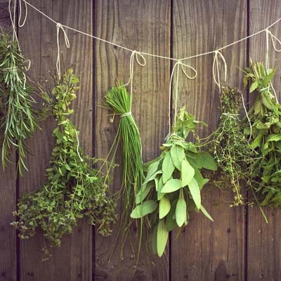 Herbs and Food to Support Wellbeing