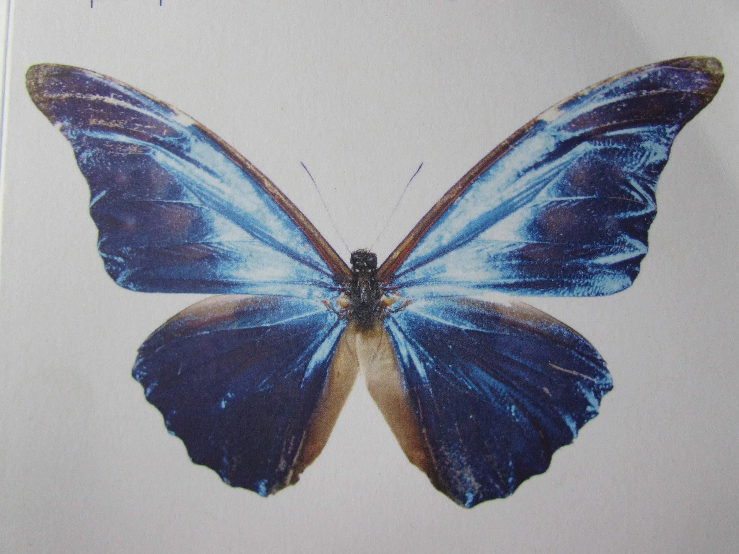 Learning How to Shift Negative Emotional States - EFT Workshop