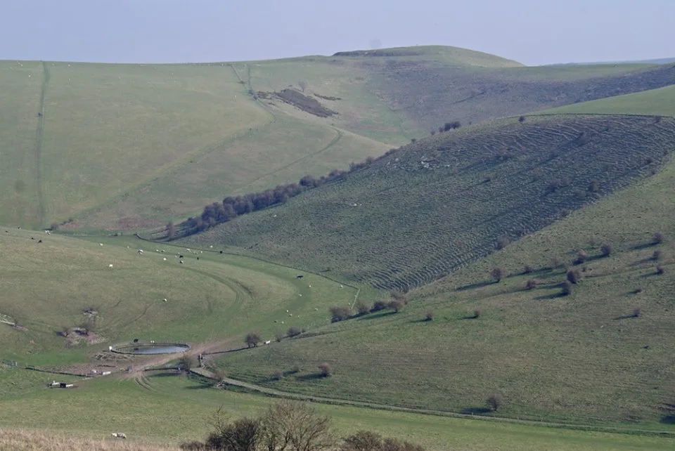south downs banner.jpg
