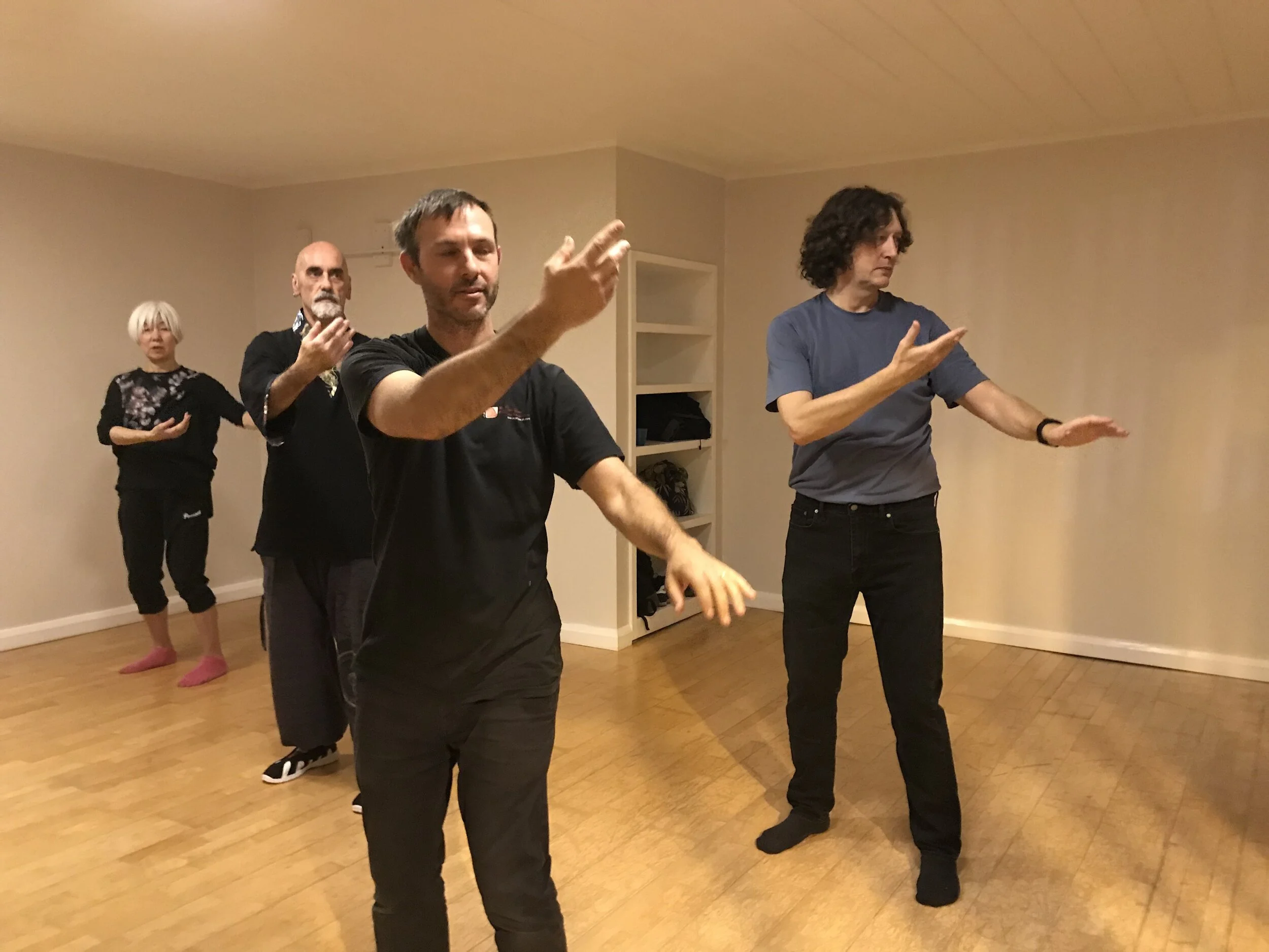Beginners Wu style Tai Chi