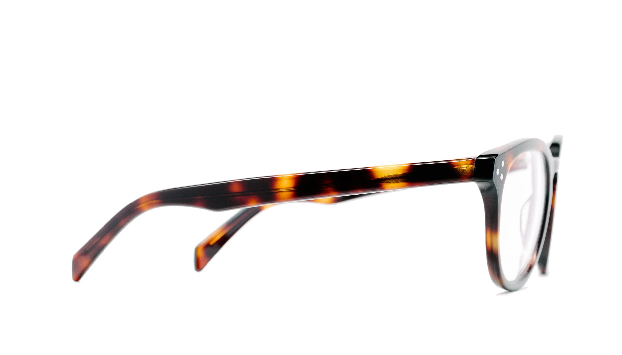 Huntington_Tort_Eye_Side.jpg
