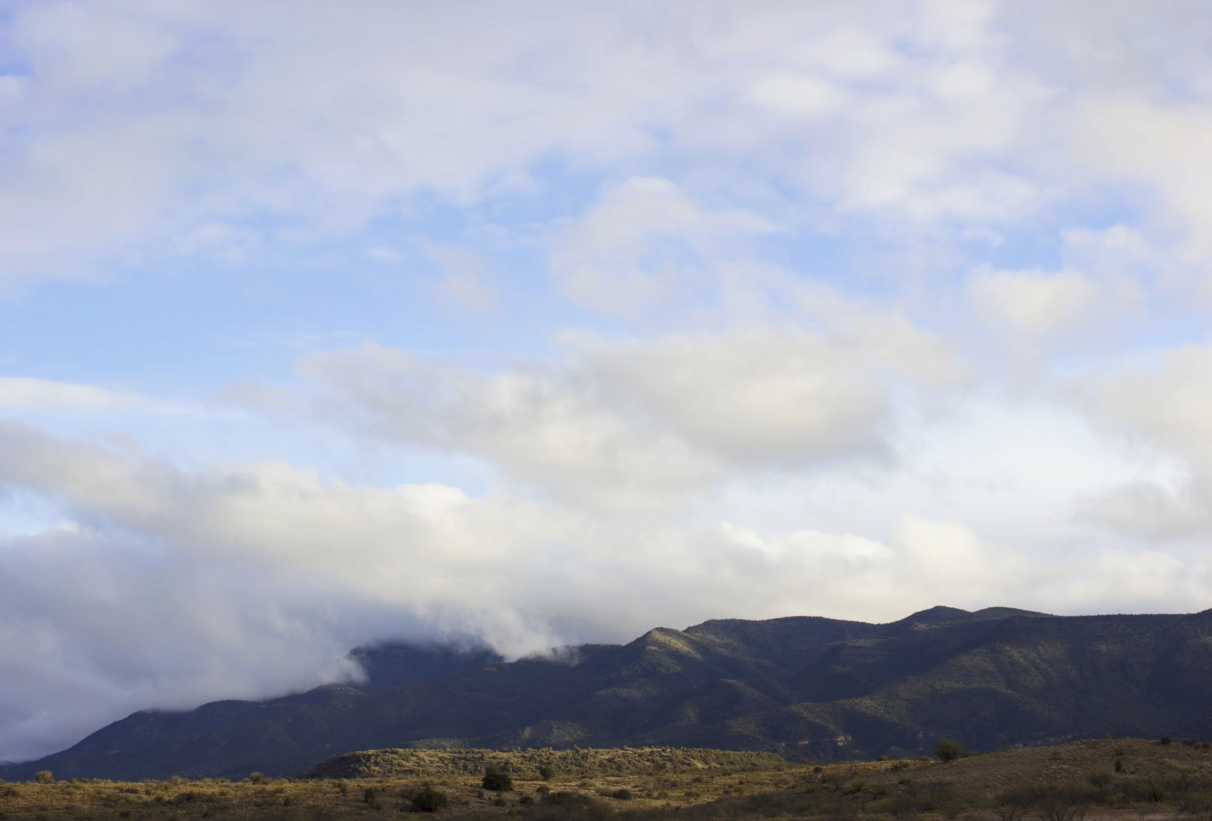 Camp Verde, Arizona. April 2016