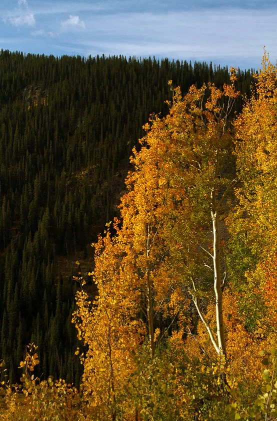 8154-US550-South-ofSilverton_1.jpg