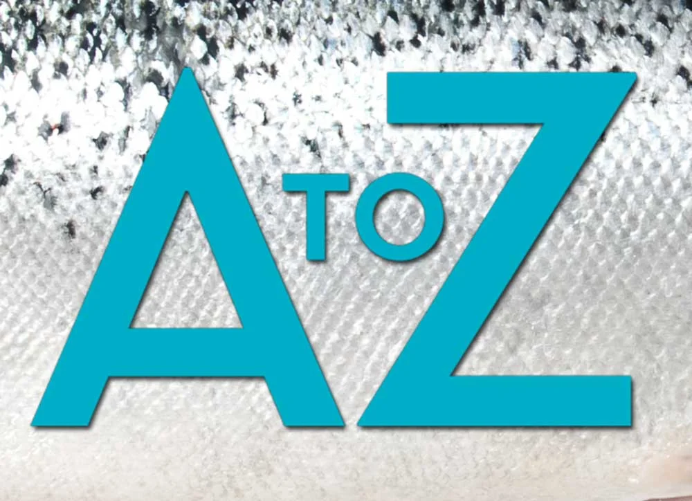 The A To Z Of Anti-Ageing