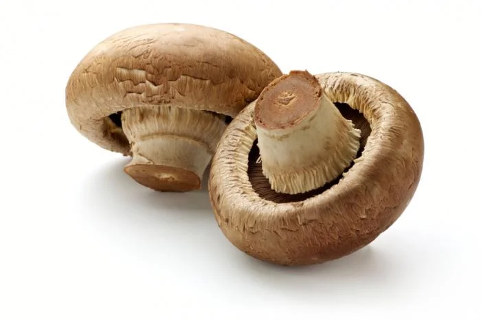 Mushrooms - An Anti-Ageing Powerhouse