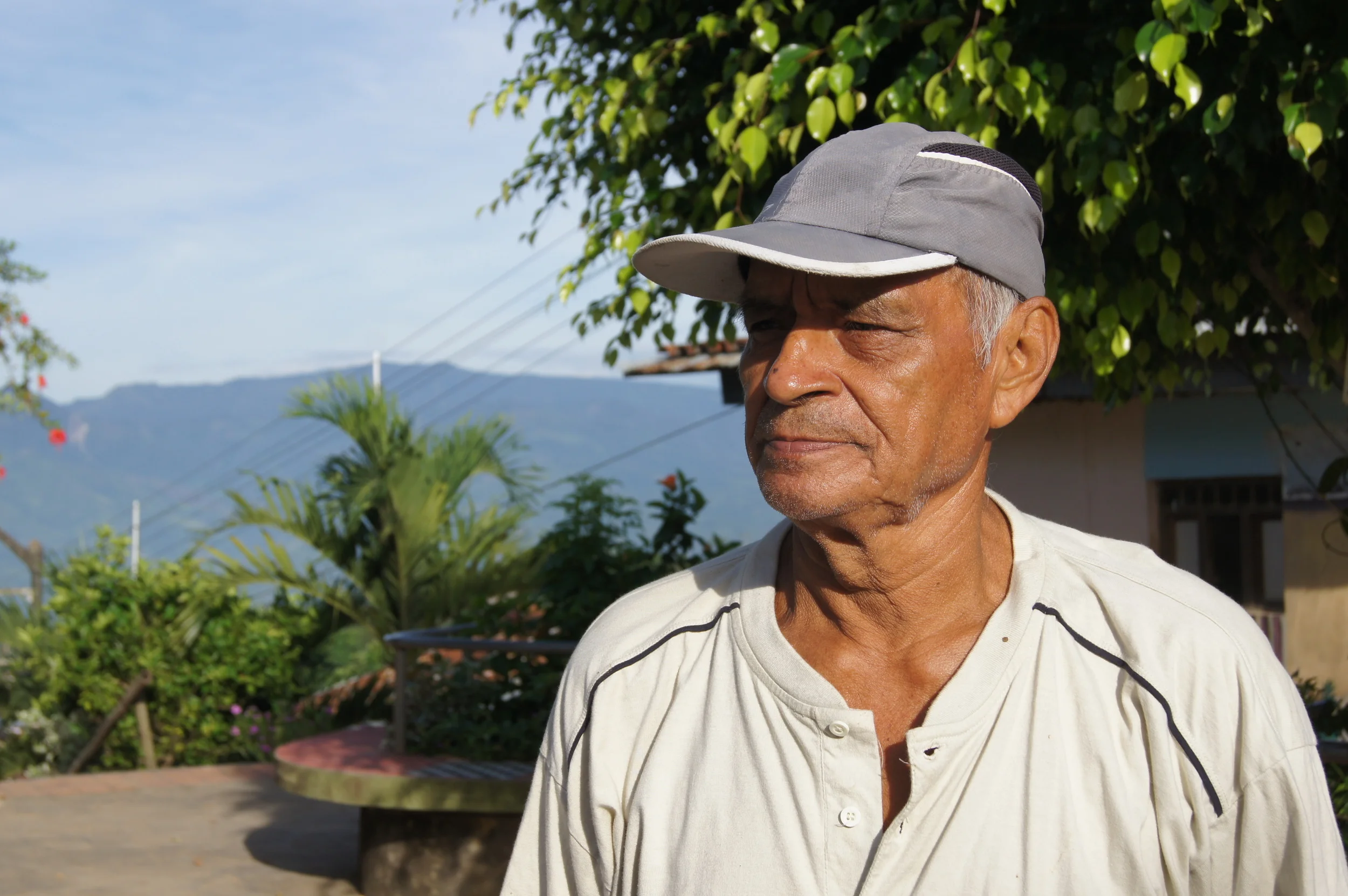 Julio Bela Pandura