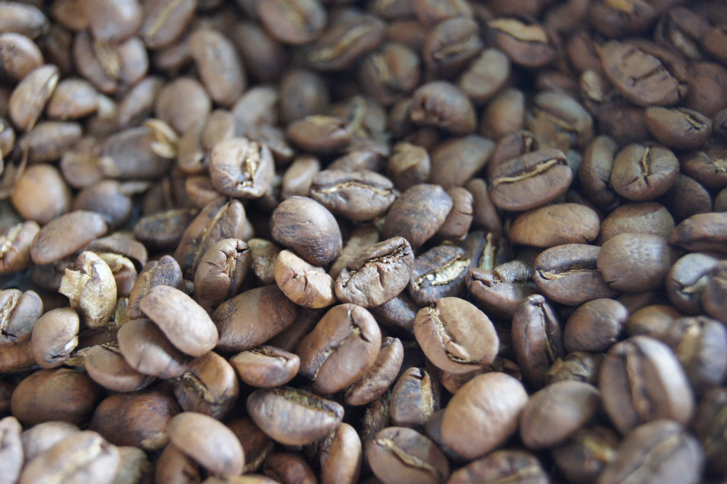 Combien De Substances Aromatiques Se Trouvent Dans Le Café Moulu Théorie — Blog — Tostados