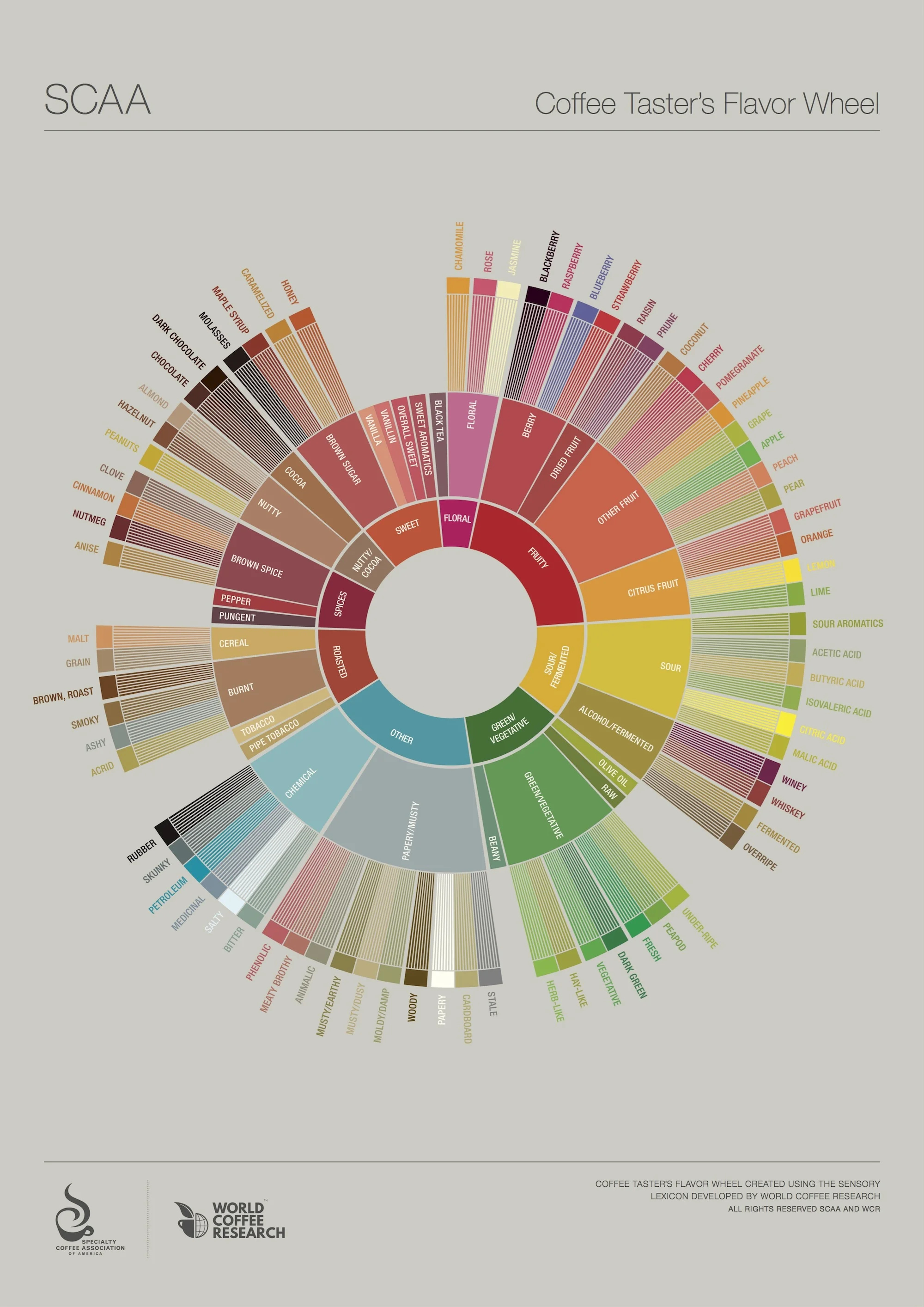 Le roue des saveurs - SCAA